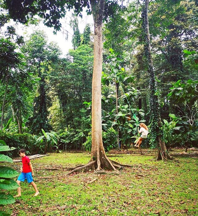 Fairy Playground
Talamanca
www.earthdiva.org
#earthdivagreen
#earthdivas
#earthdiva
#earthlove
#earthmama
#plasticfree
#junglelife
#greenearth
#green
#earthschool
#motherearth
#rainforest
#rainforestlife
#playachiquita
#puertoviejo
#talamanca
#costar