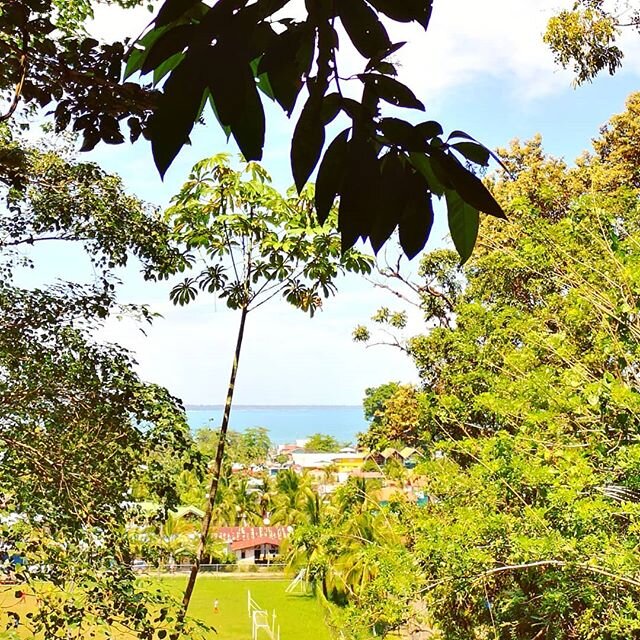 From sky to sea. Puerto Viejo de Talamanca from the cemetery, overlooking my fave little town....Plaza de Futbol &amp; the Caribbean
www.earthdiva.org
#earthdivagreen
#earthdivas
#earthdiva
#earthlove
#earthmama
#plasticfree
#junglelife
#greenearth
#