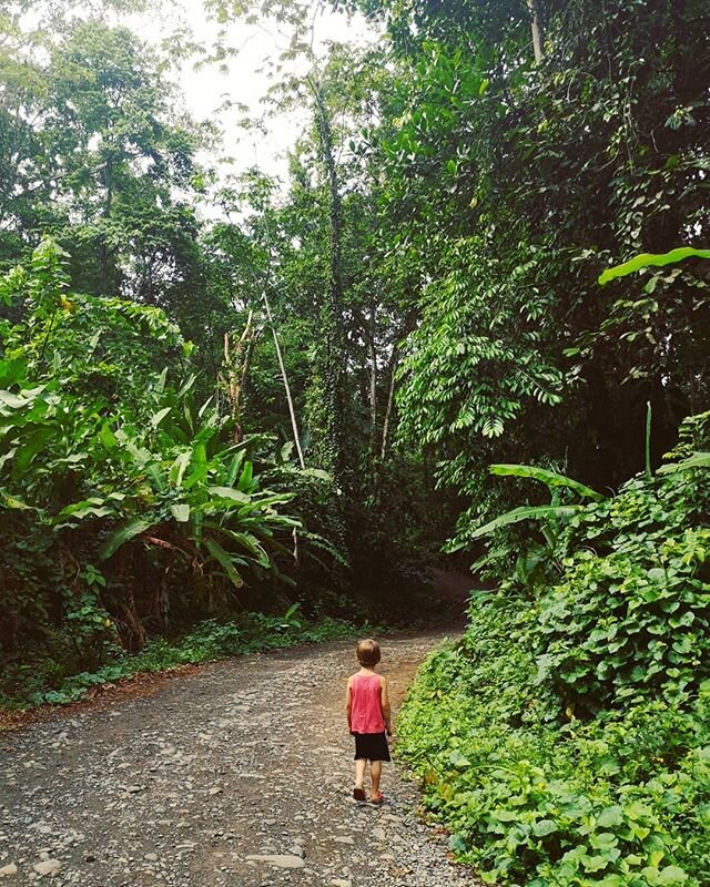A whimsicle walk to jungle gymnastics.
www.earthdiva.org
#earthdivagreen
#earthdivas
#earthdiva
#earthlove
#earthmama
#plasticfree
#junglelife
#greenearth
#green
#earthschool
#motherearth
#rainforest
#rainforestlife
#jungle
#puertoviejo
#talamanca
#c