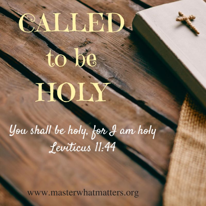 Be Holy for I am Holy - It's Meaning (and 6 Ways to Do It)