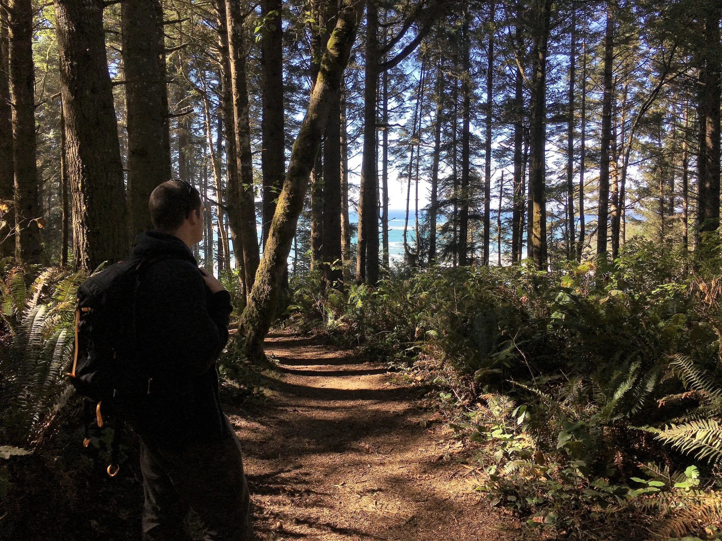 Where ocean meets forest