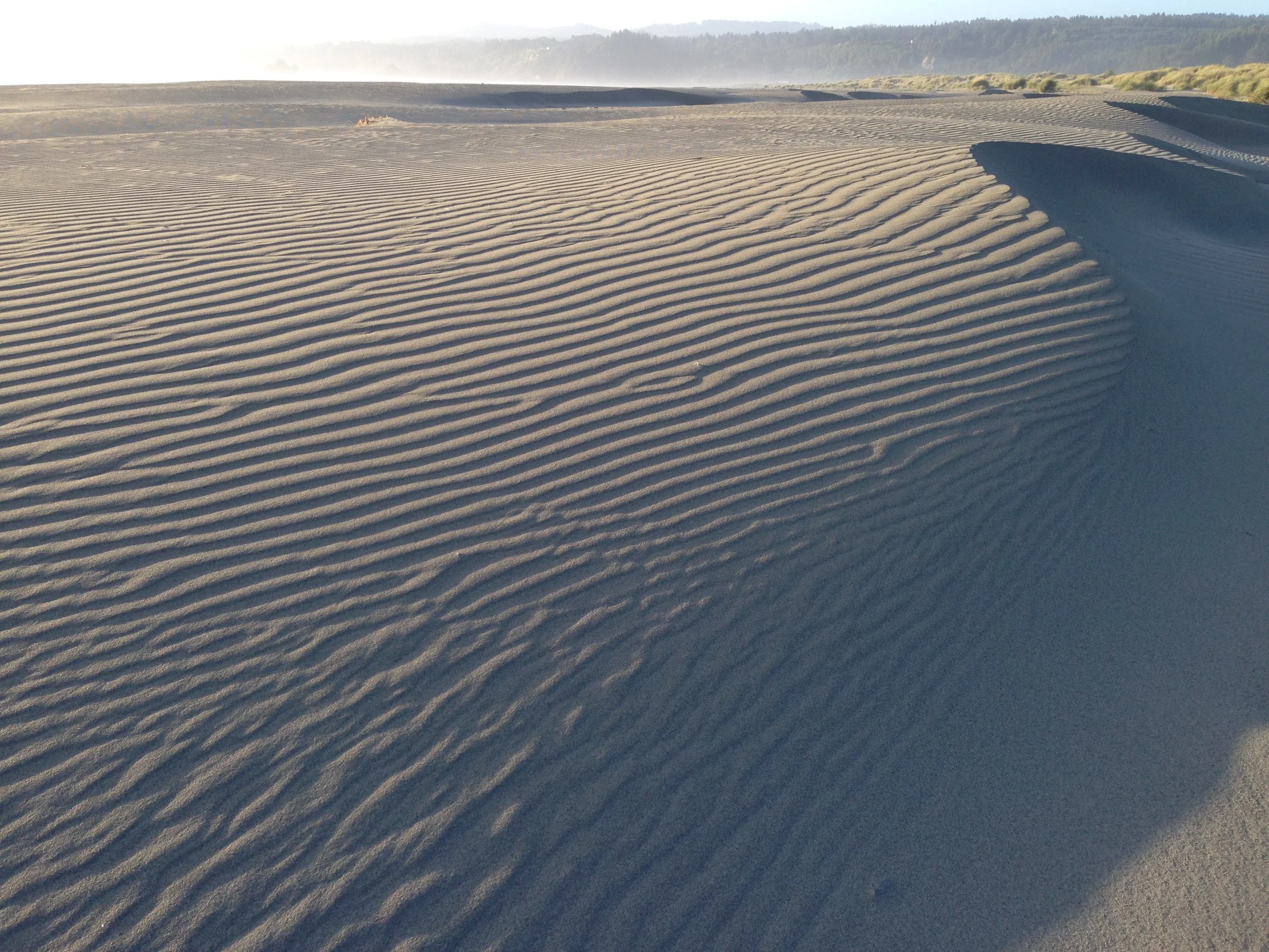 Clam Beach