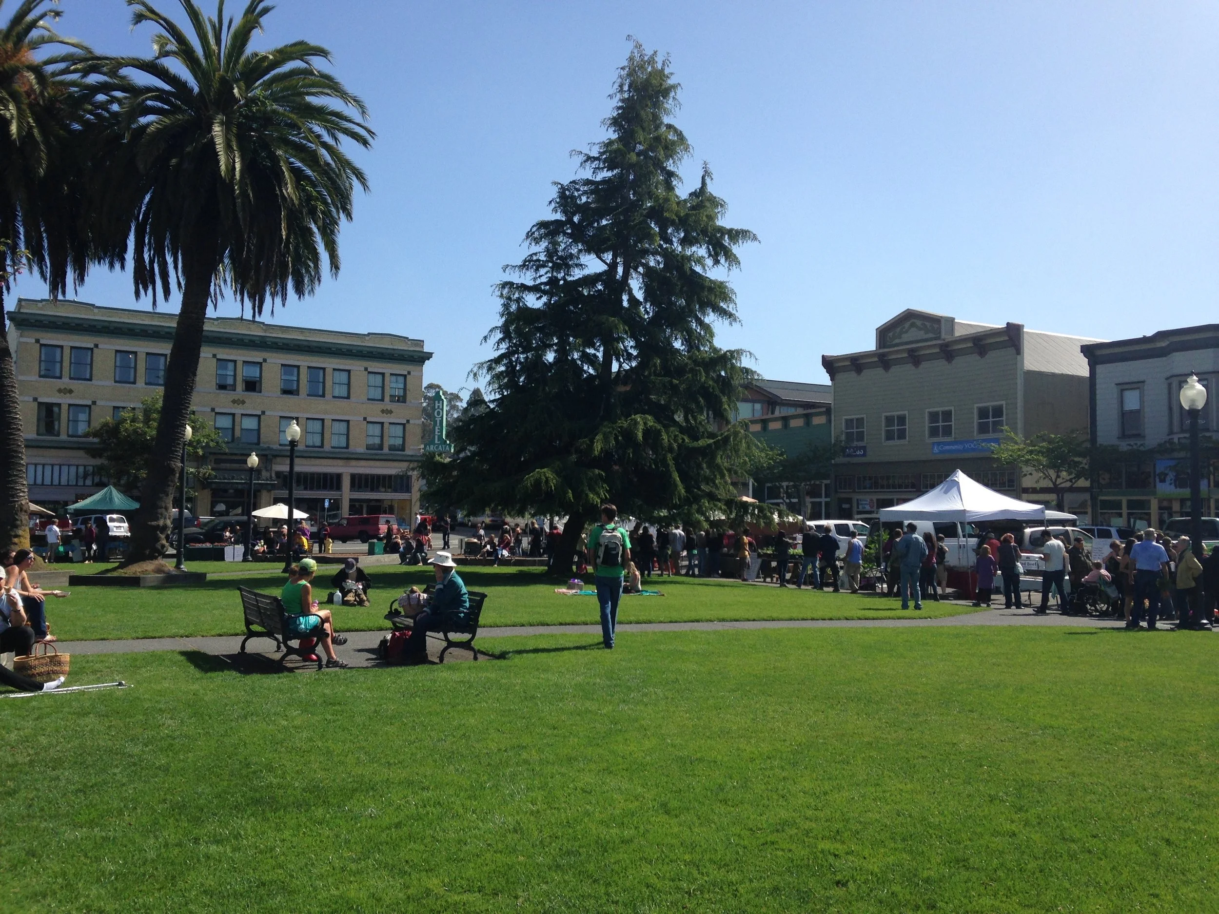 Saturdays at the Arcata Plaza Farmer's Market