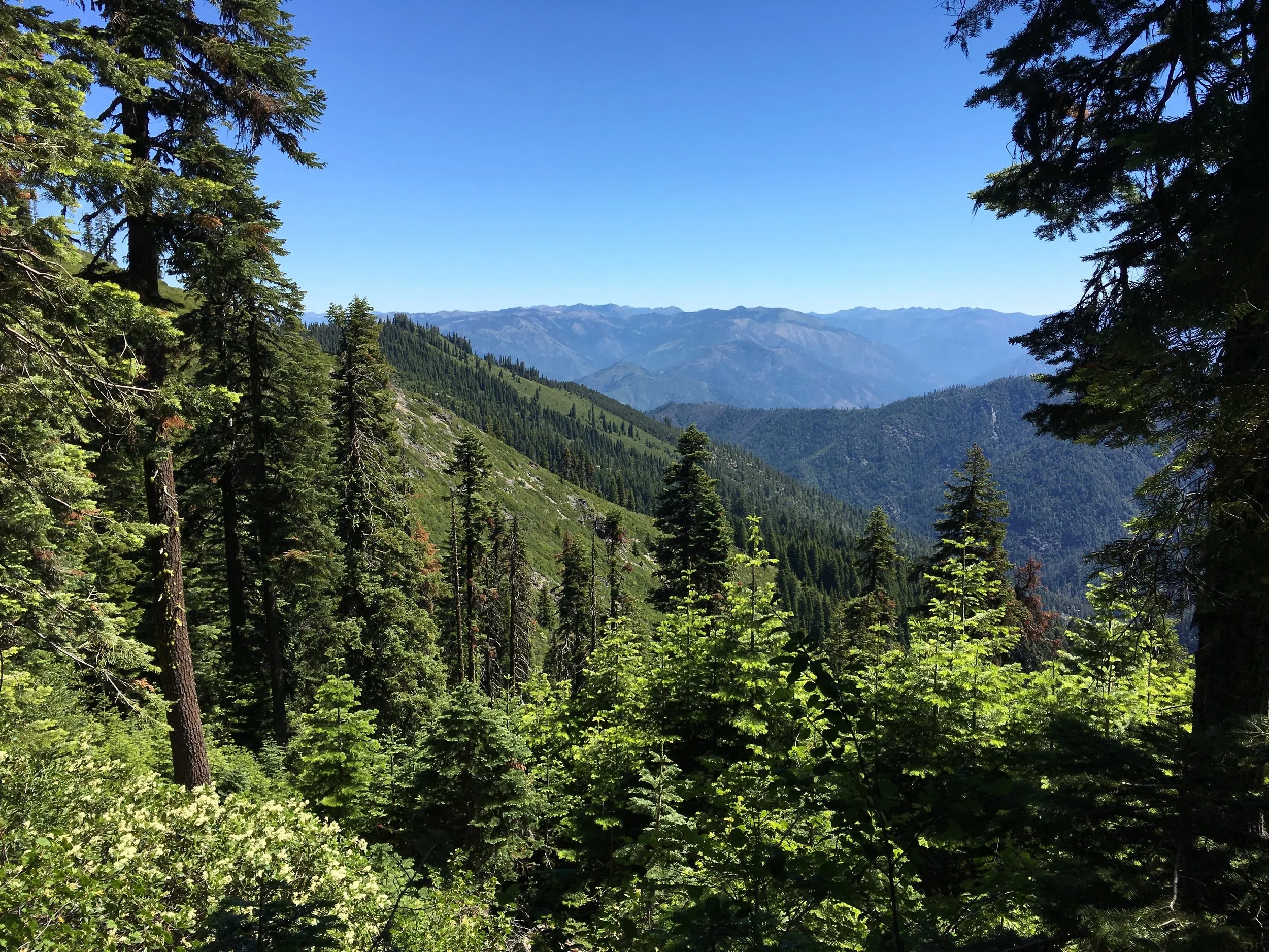 Red Cap Lake Trail to Salmon Mountain
