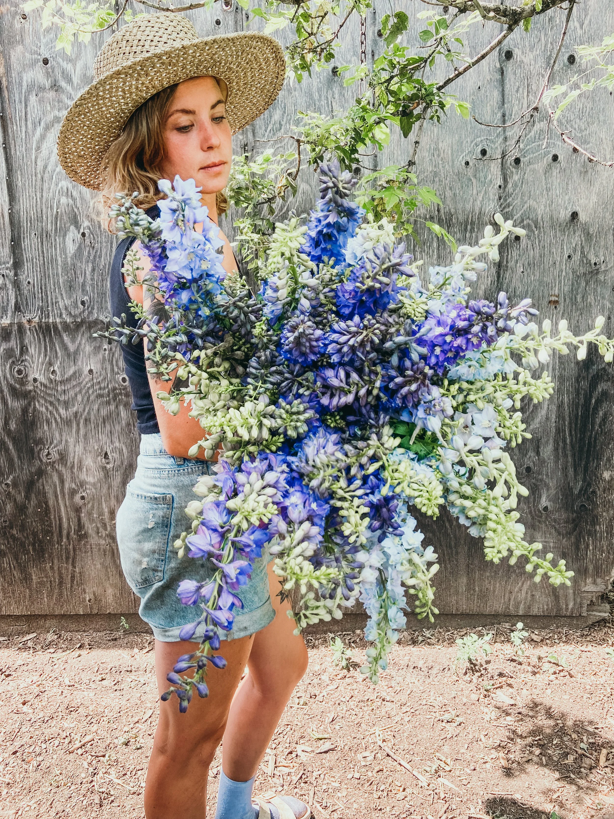 5 Cut Flowers to Start in February (in Zone 3)