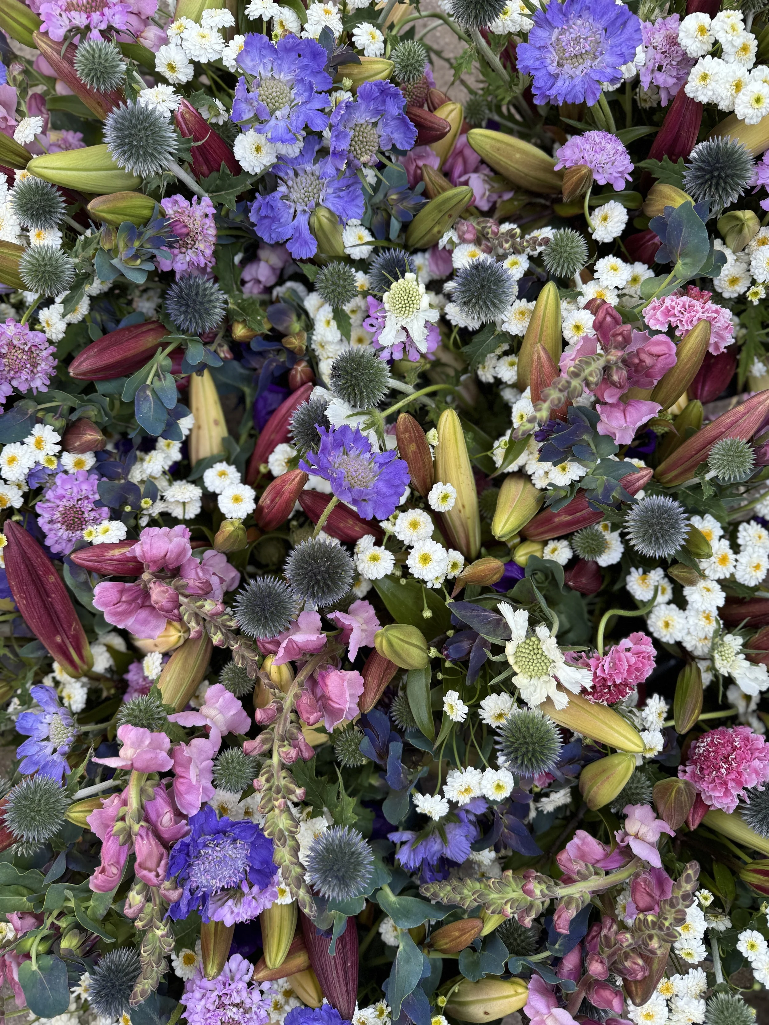 Early Summer Flower Shares