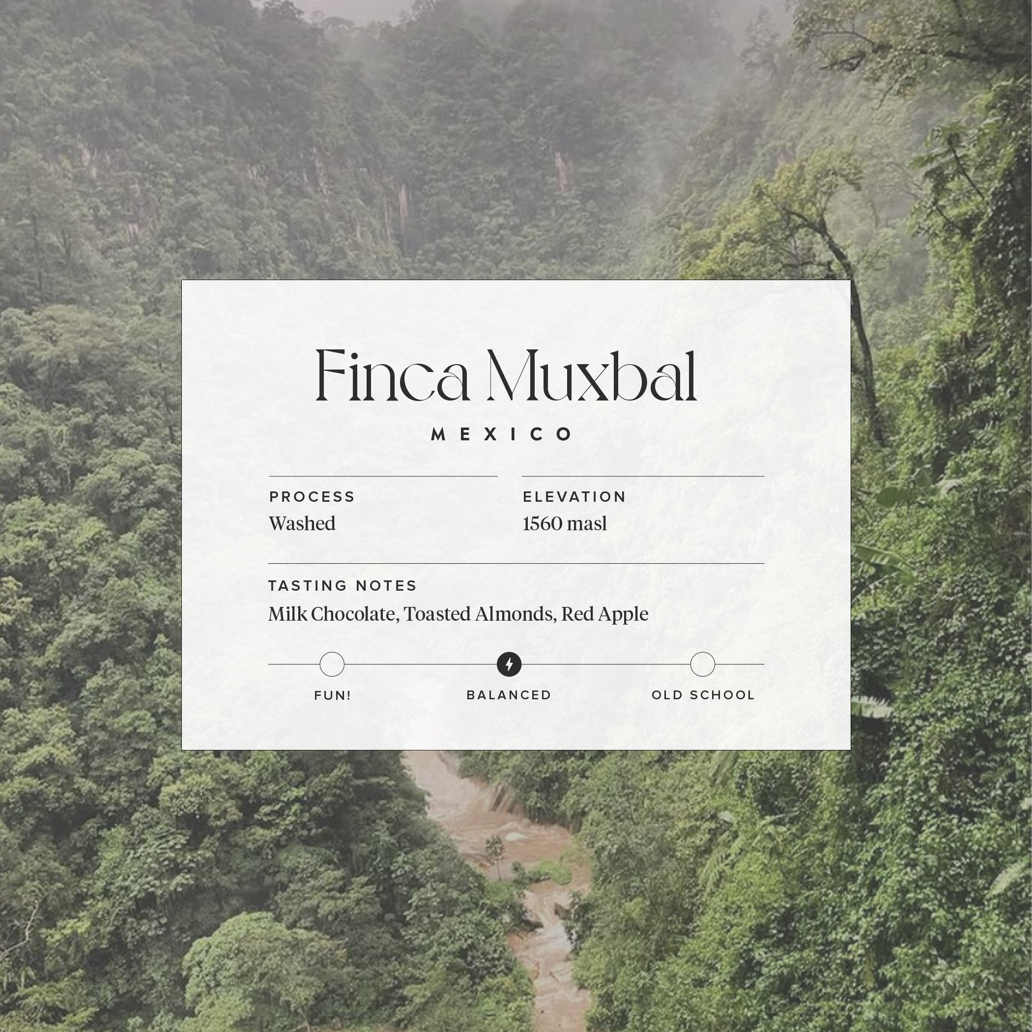 Finca Homepage.jpg