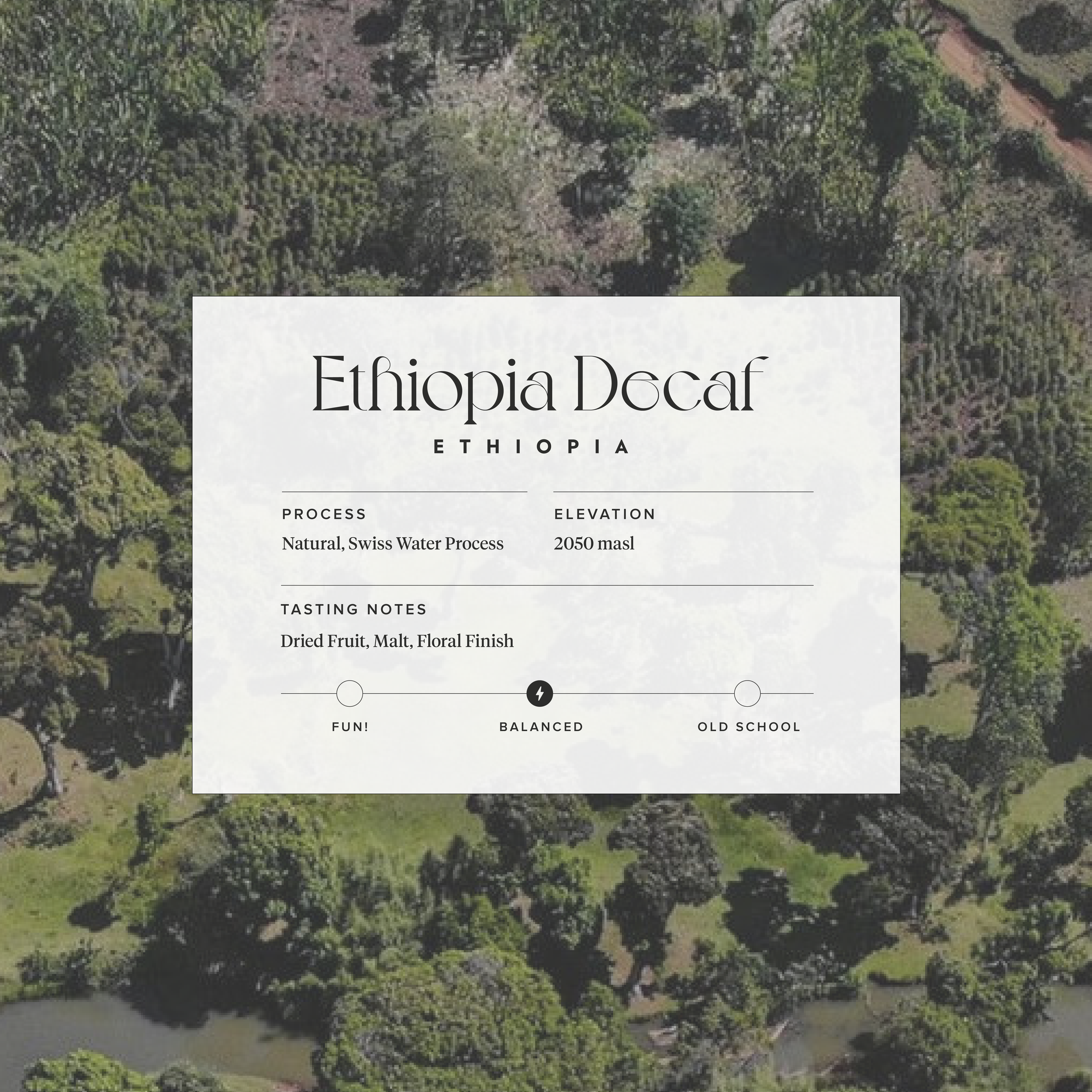 New Ethiopia Decaf (april 2025)-01.png