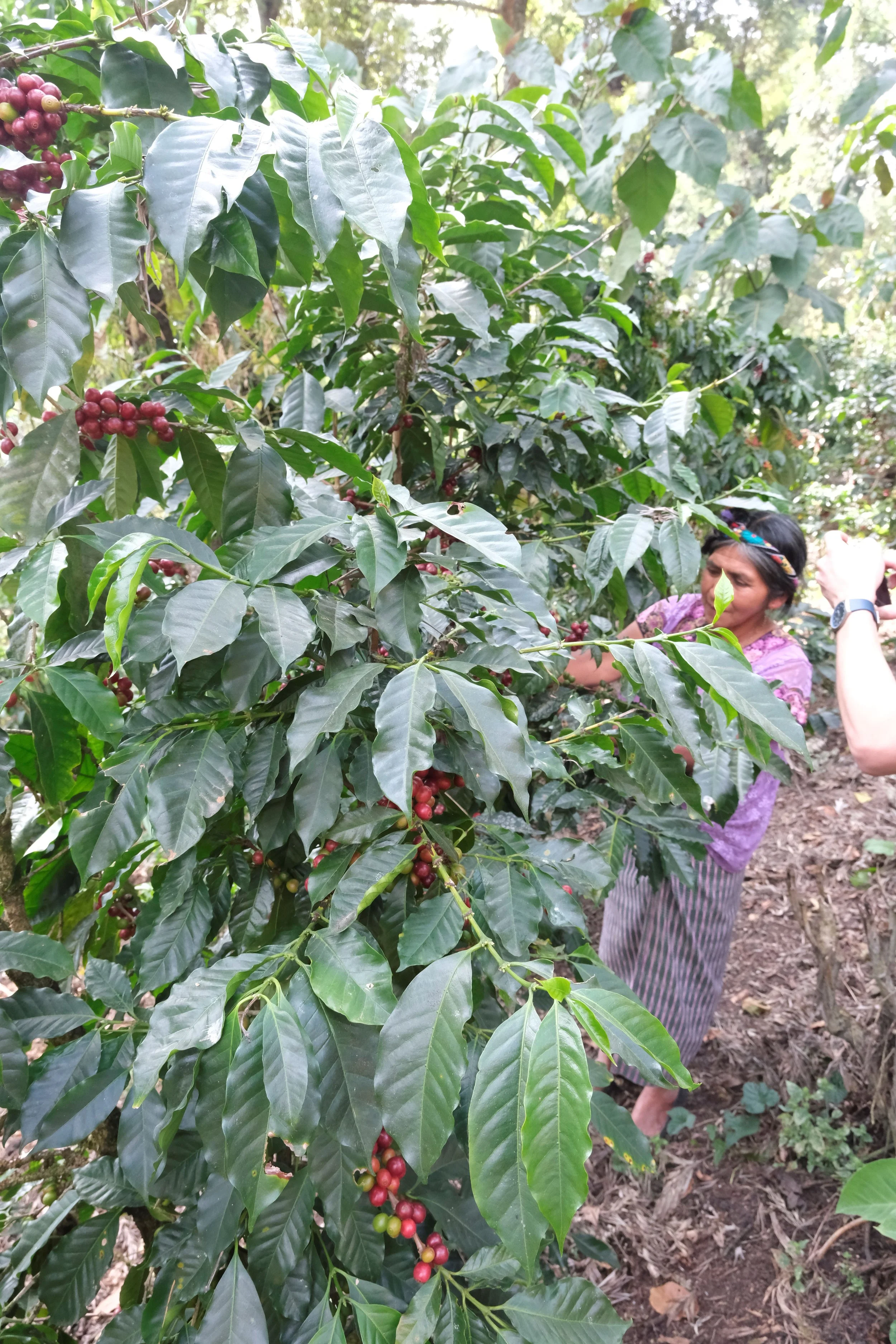 Copy of _DSF1610.JPG