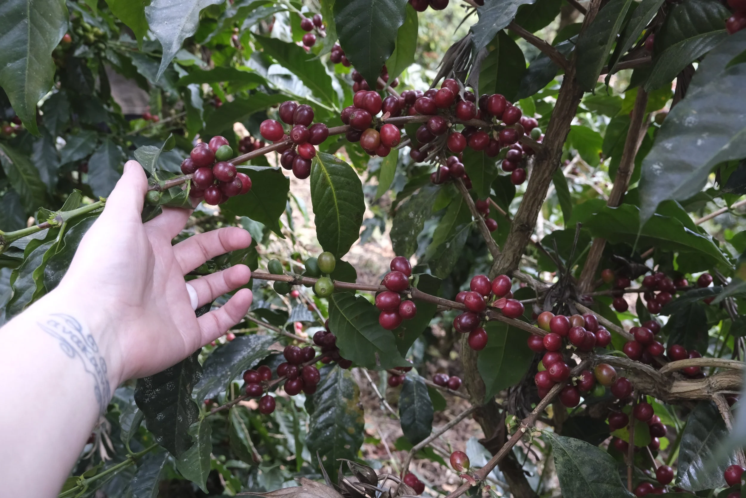 Copy of _DSF1626.JPG