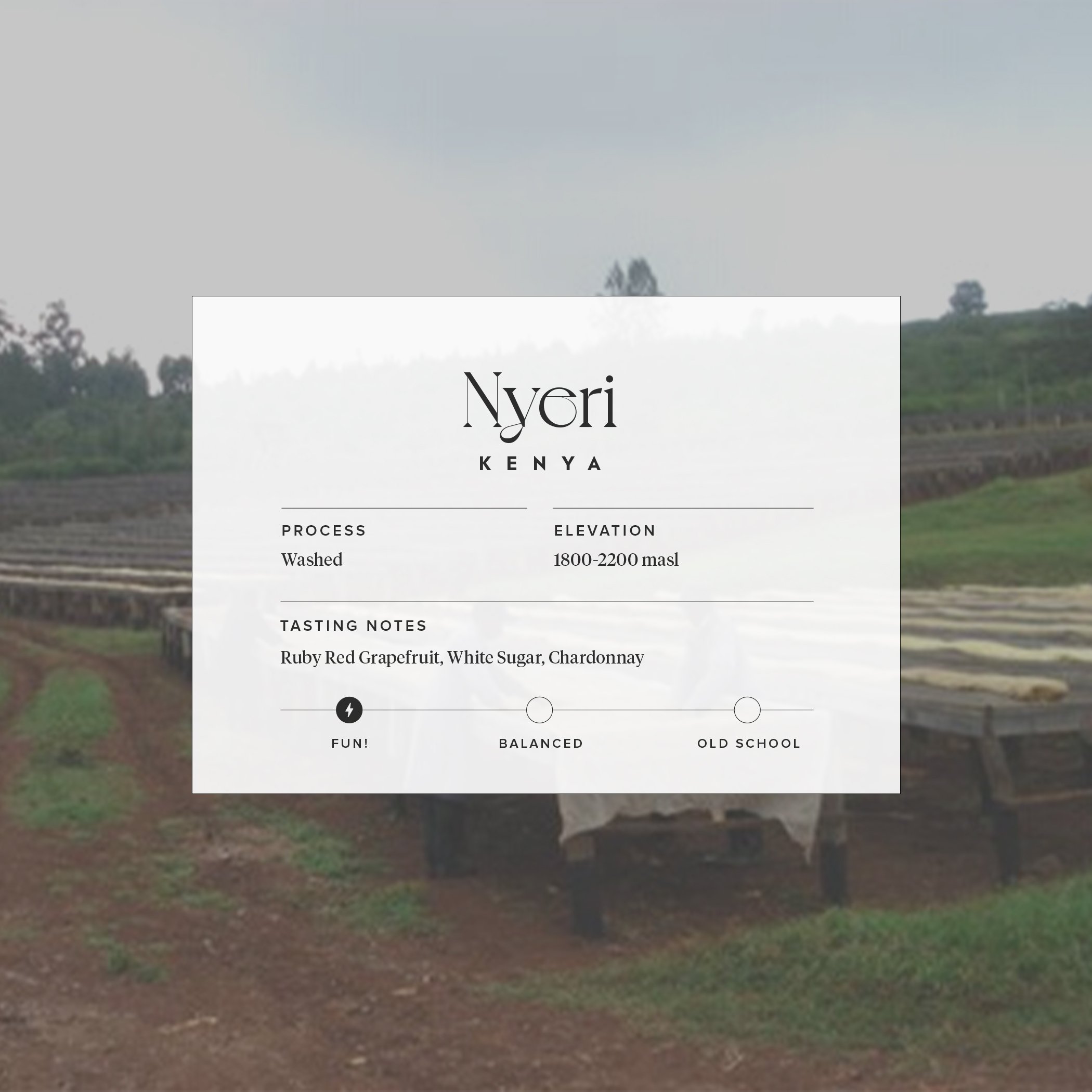 Nyeri Homepage Photo.jpg
