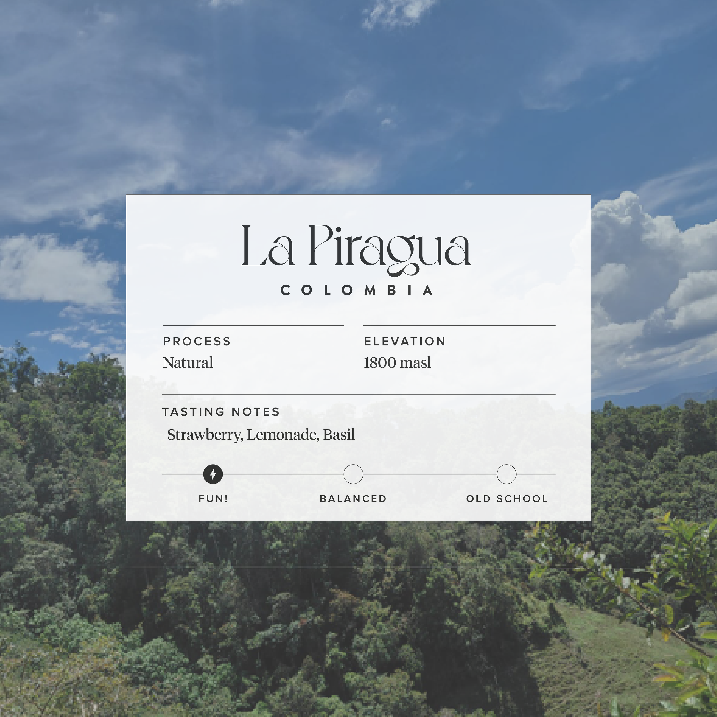 Strawberry, Lemonade, Basil