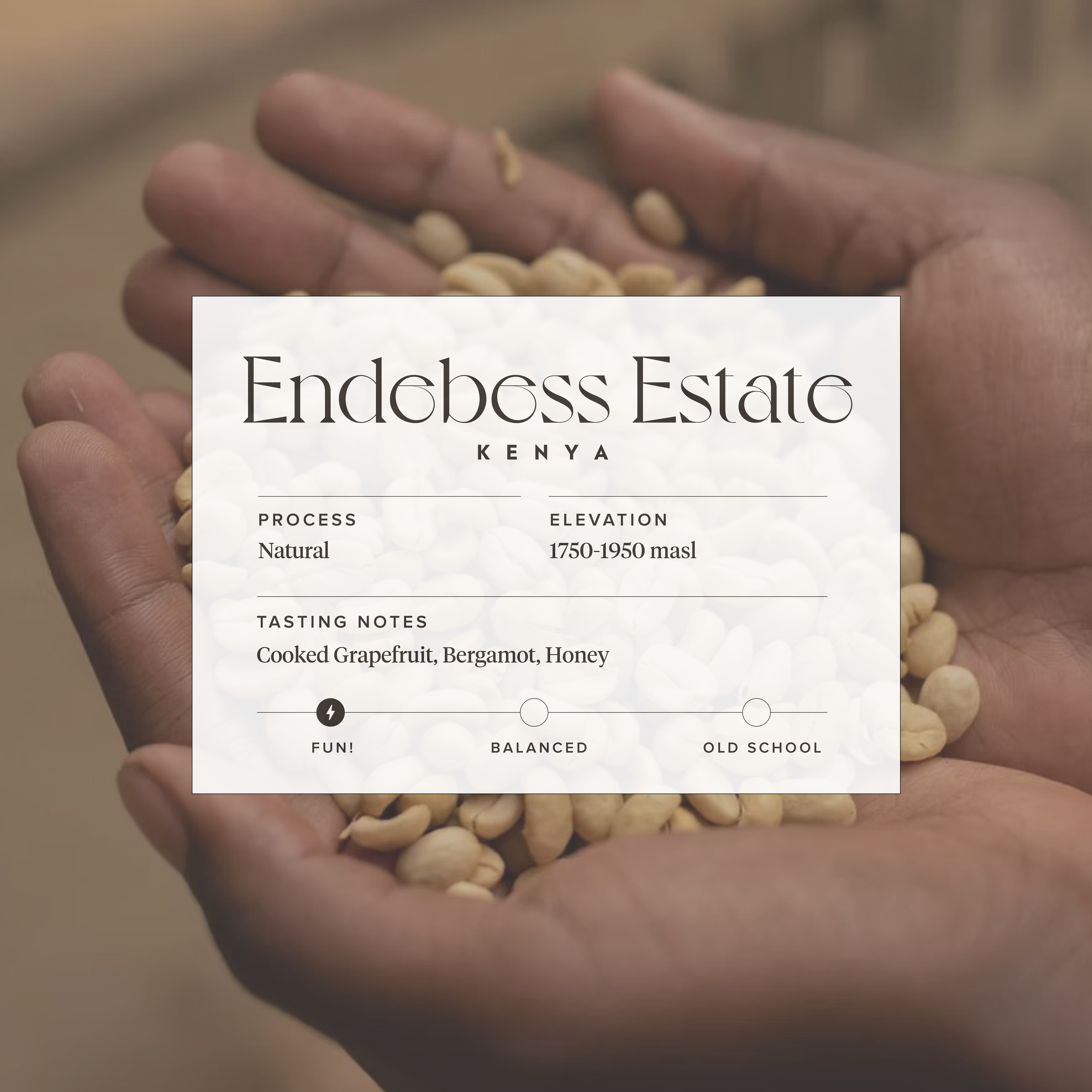 Cooked Grapefruit, Bergamot, Honey