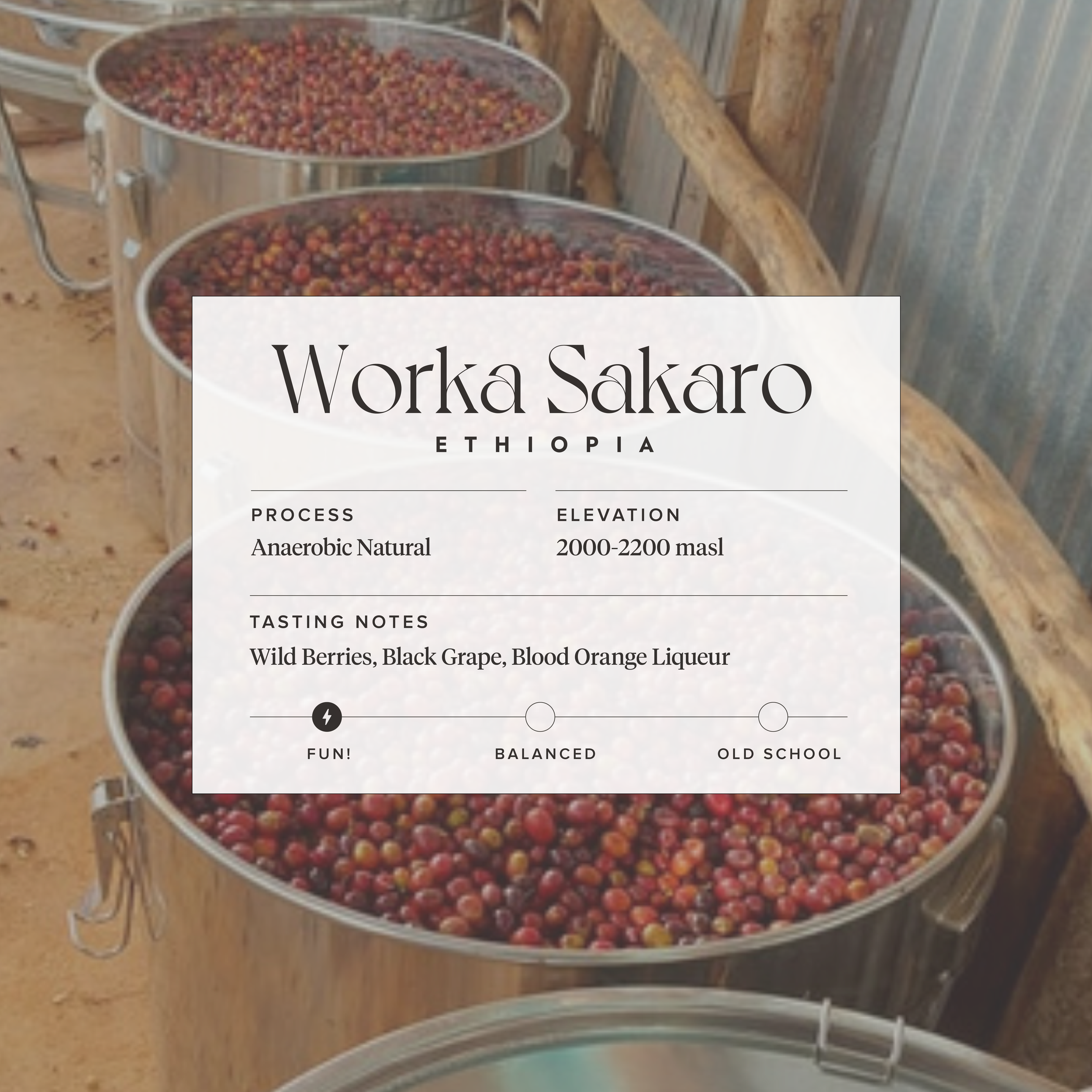 Wild Berries, Black Grape, Blood Orange Liqueur