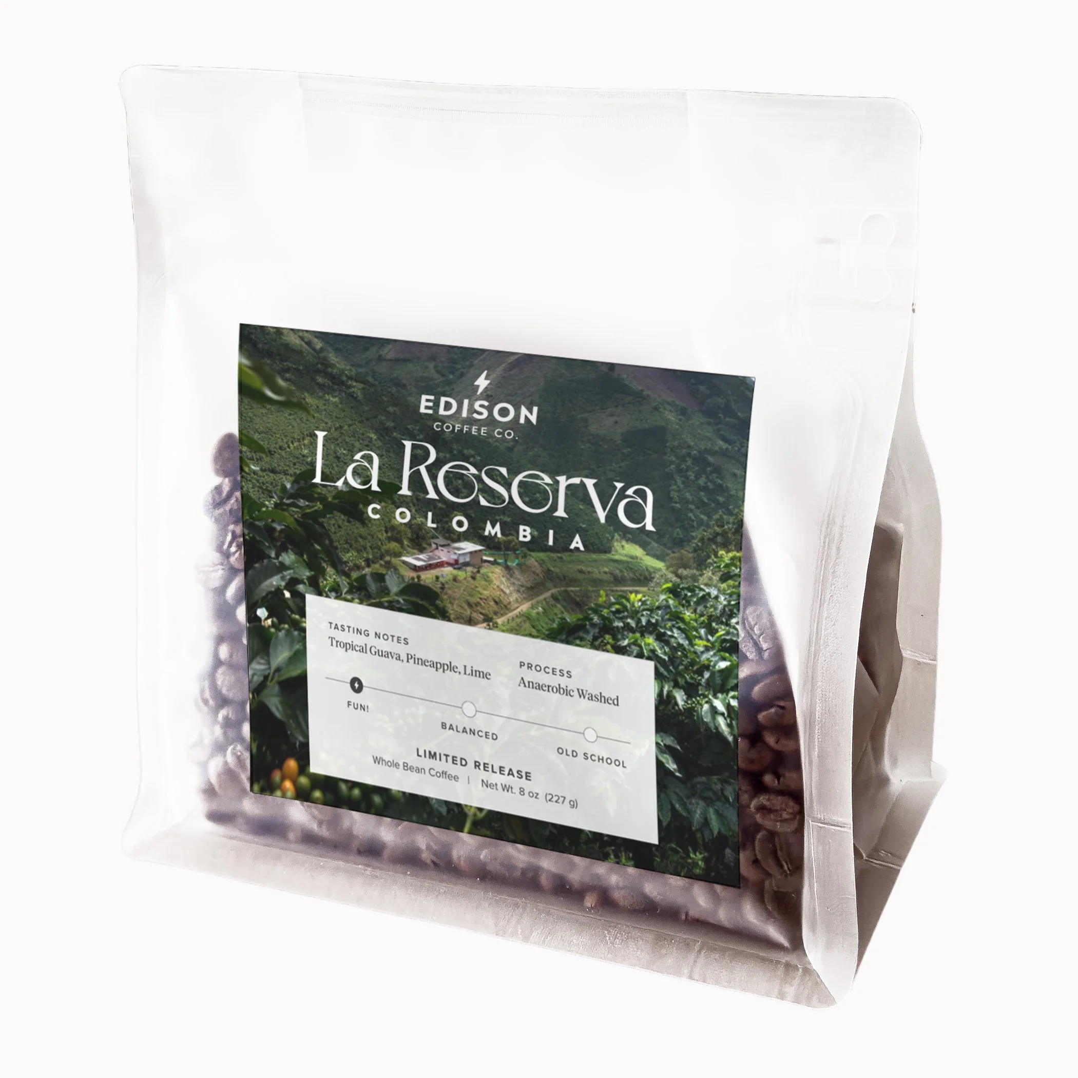 LR 2026 Bags 4 fixed opacity.jpg