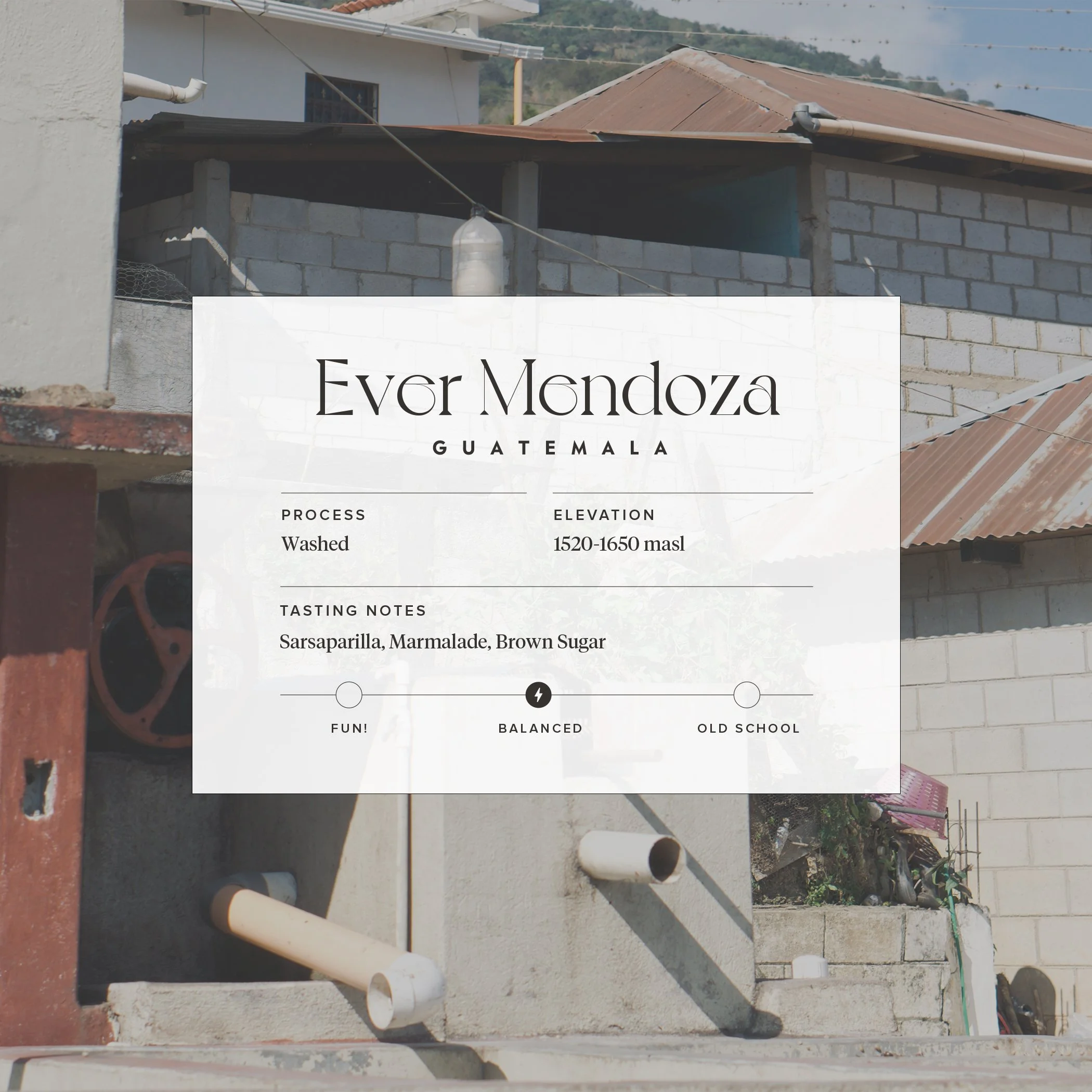 Ever Mendoza 2025.jpg