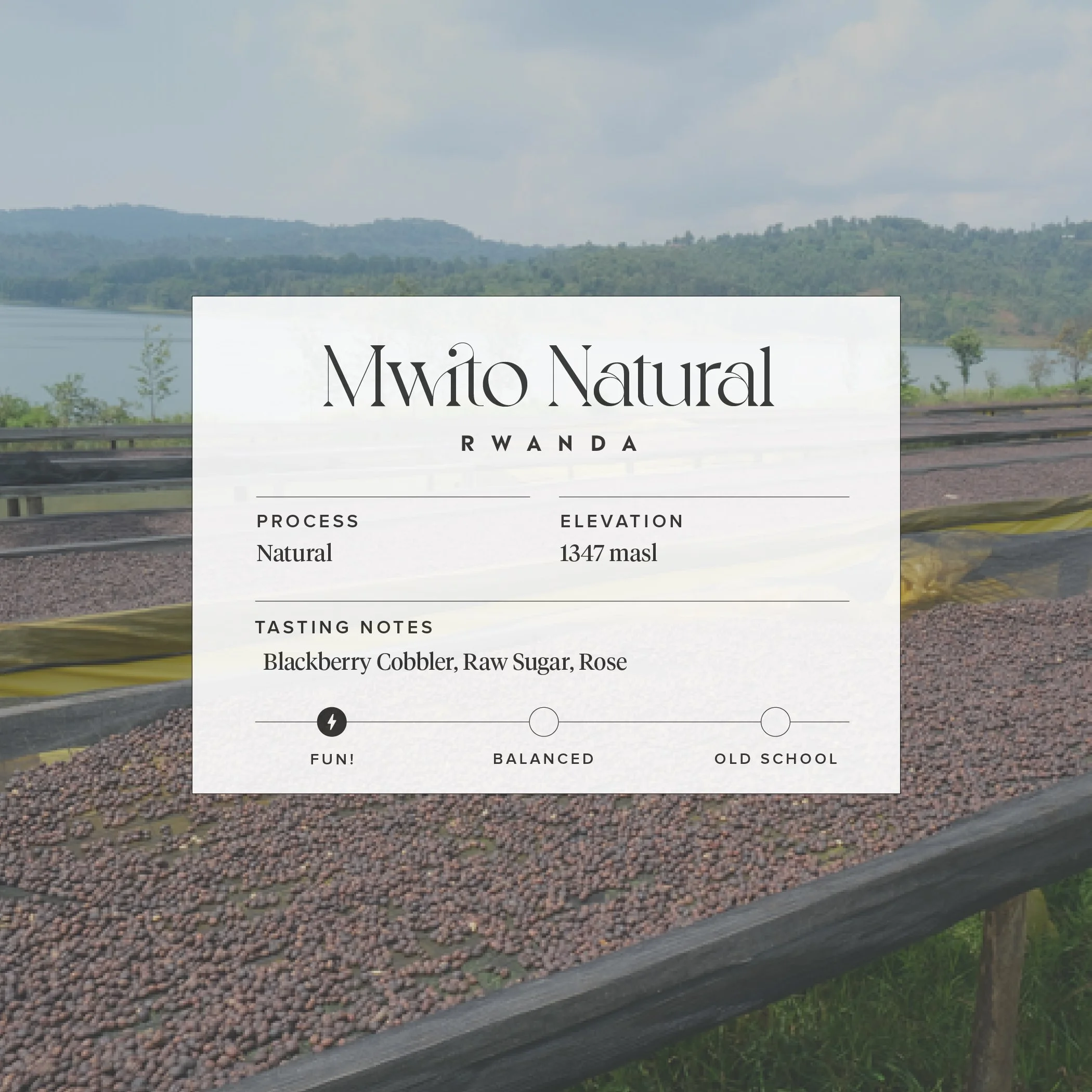 mwito -01.jpg