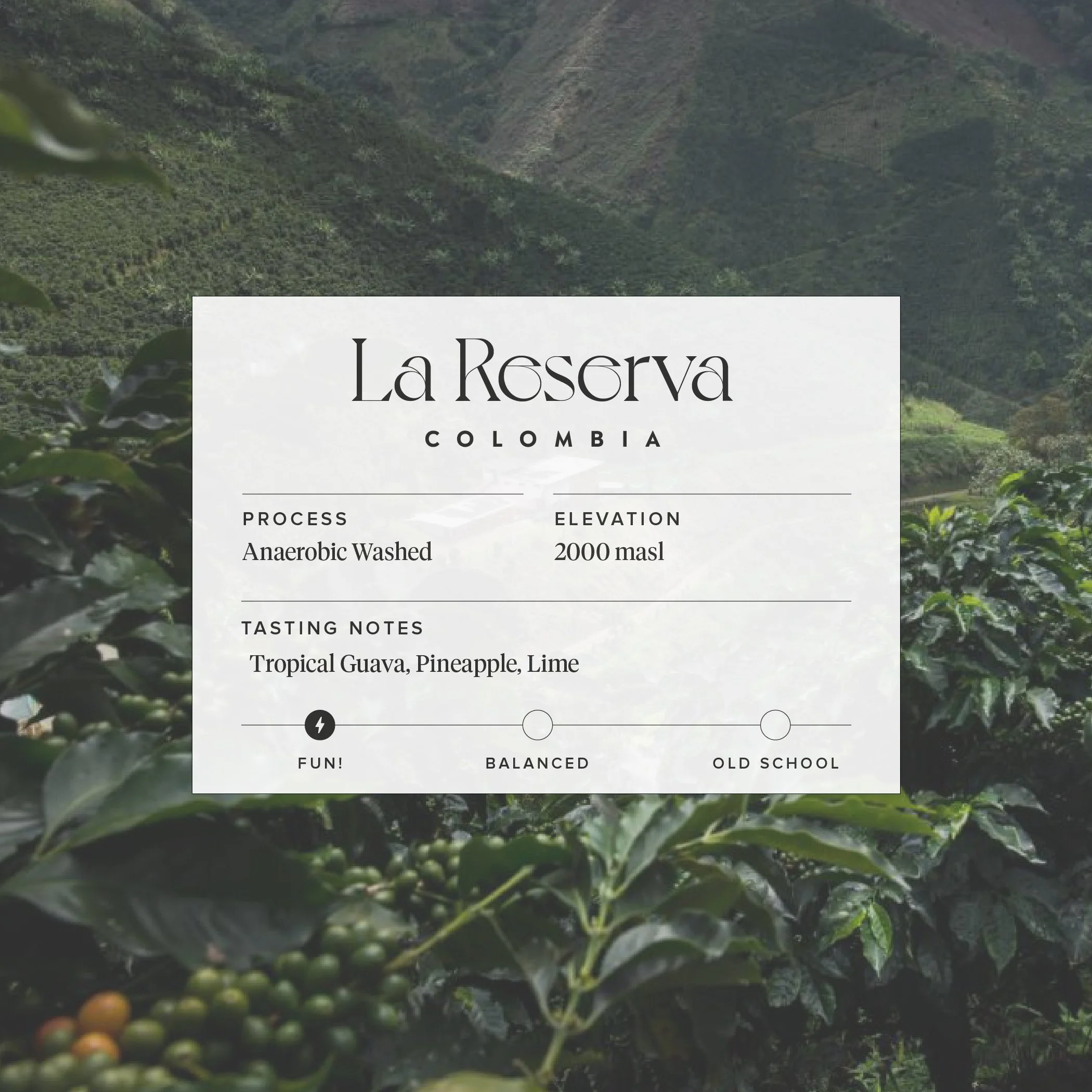 La Reserva.jpg