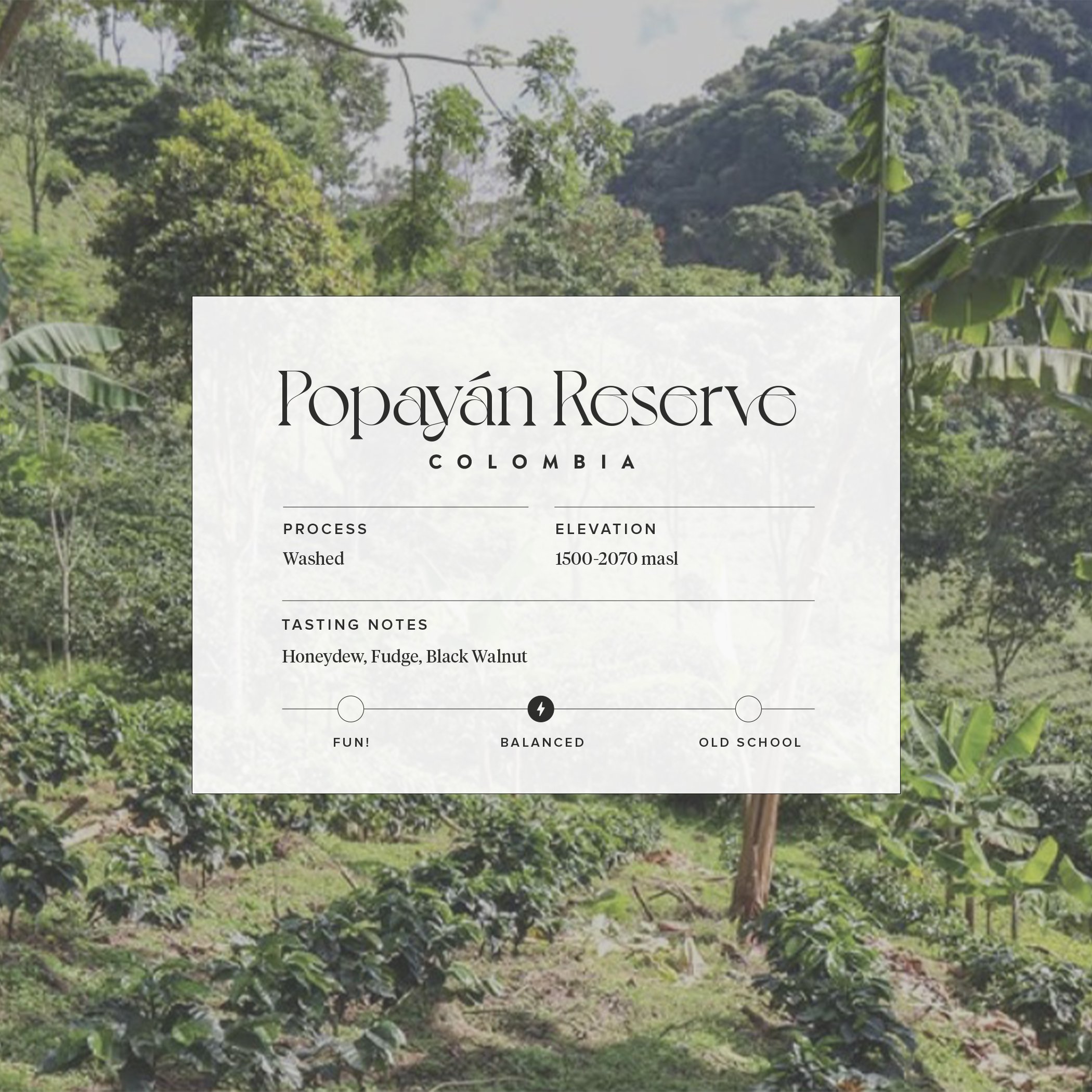 Popayan Homepage Photo.jpg