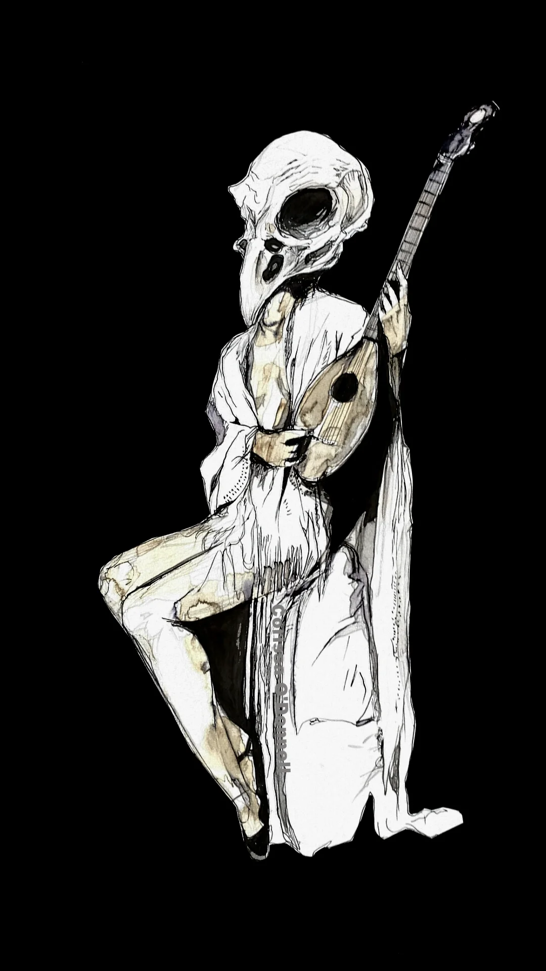 "Bird Skull"