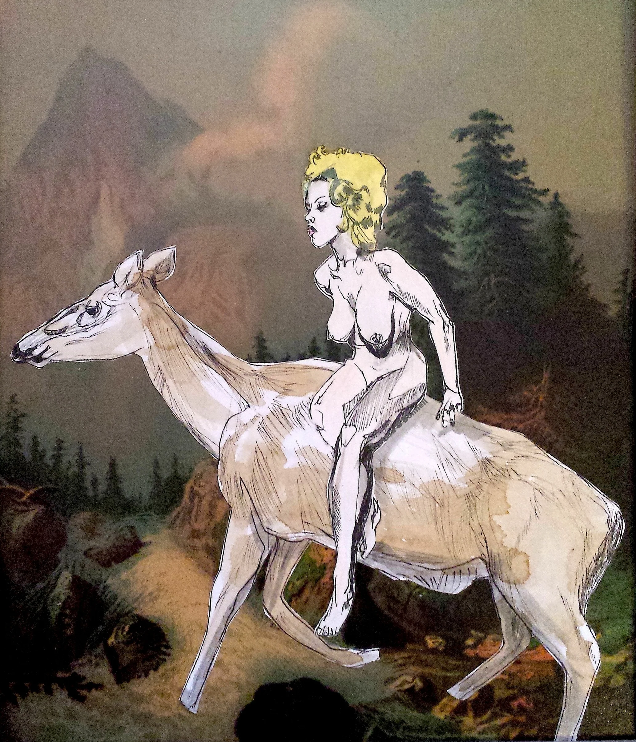 "Forest Godiva"