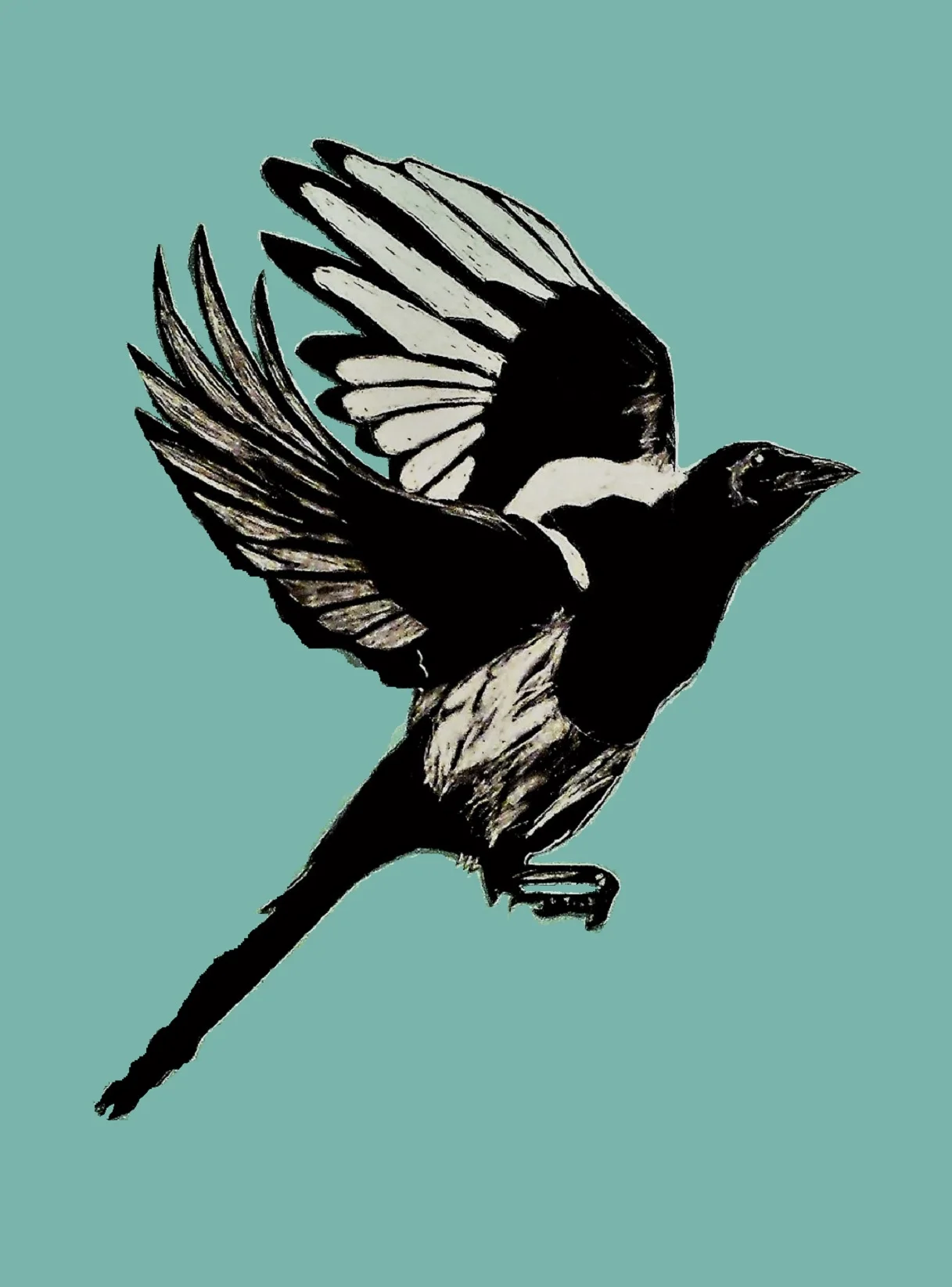 "Magpie I"8"x 11", mixed media, 2016