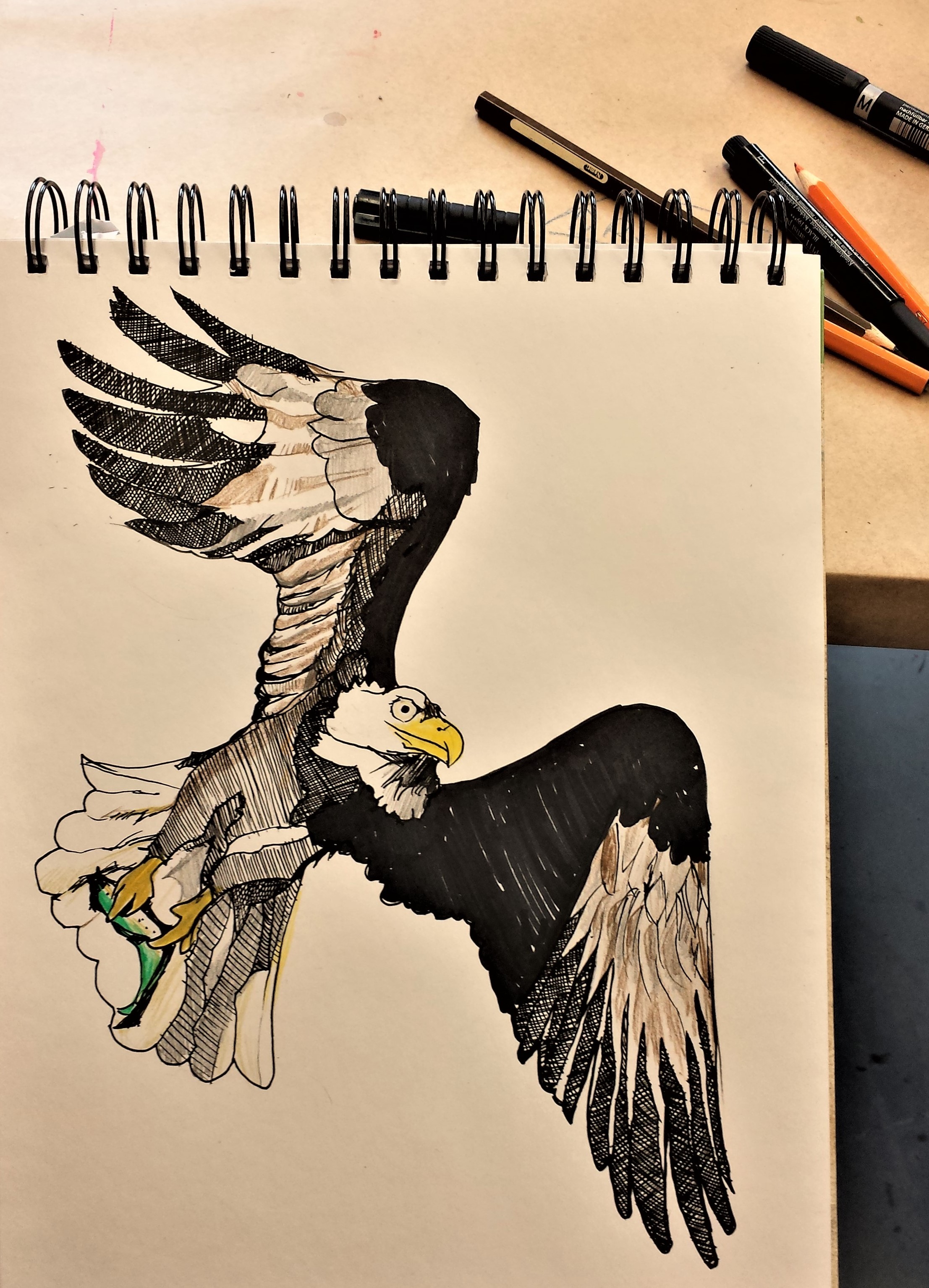 "eagle"