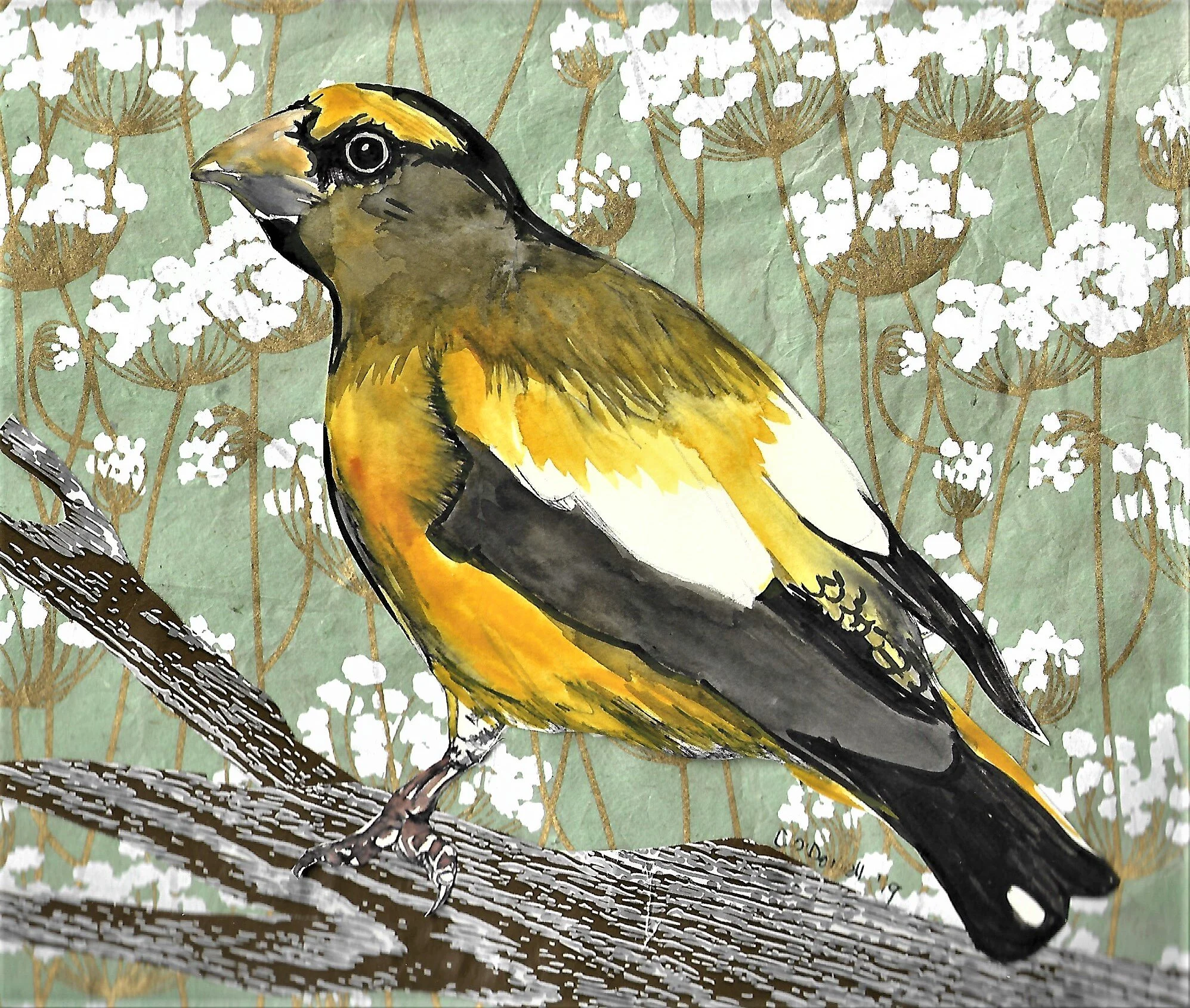 “Evening Grosbeak”9”x 10”, mixed media, 2019