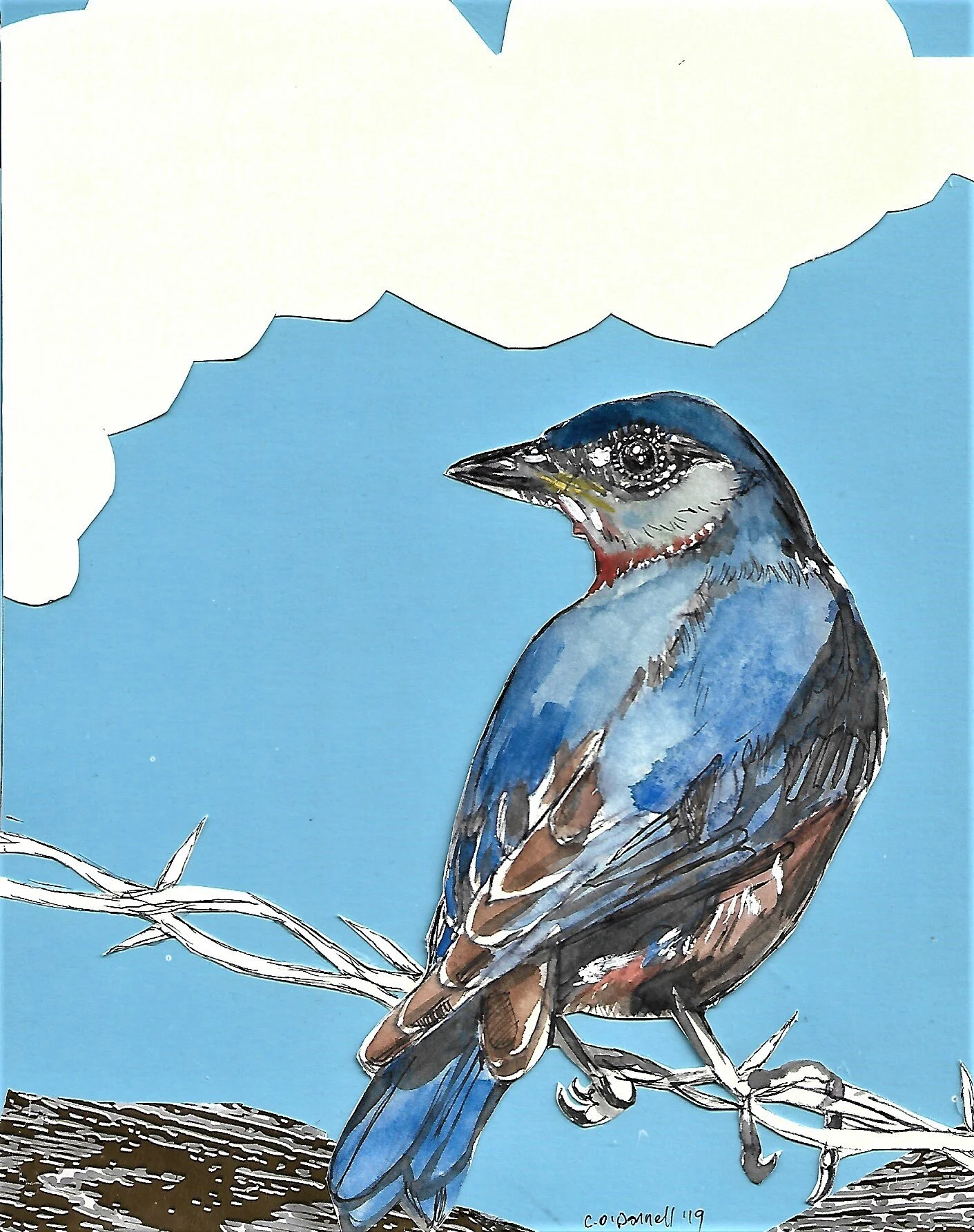 “Eastern Bluebird”8”x 6”, mixed media, 2019