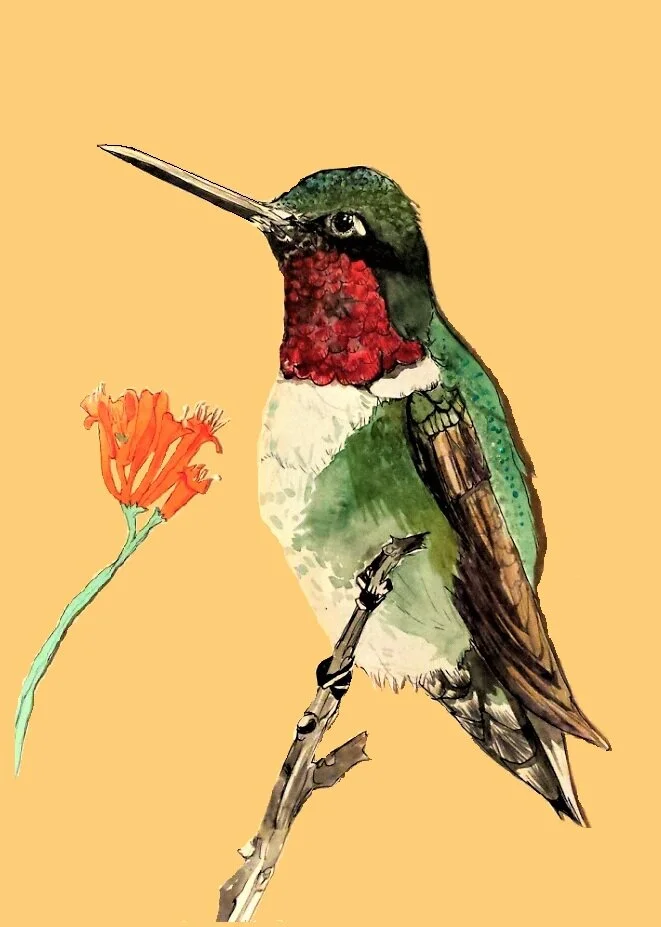 “Hummingbird”18”x 20”, mixed media, 2016.