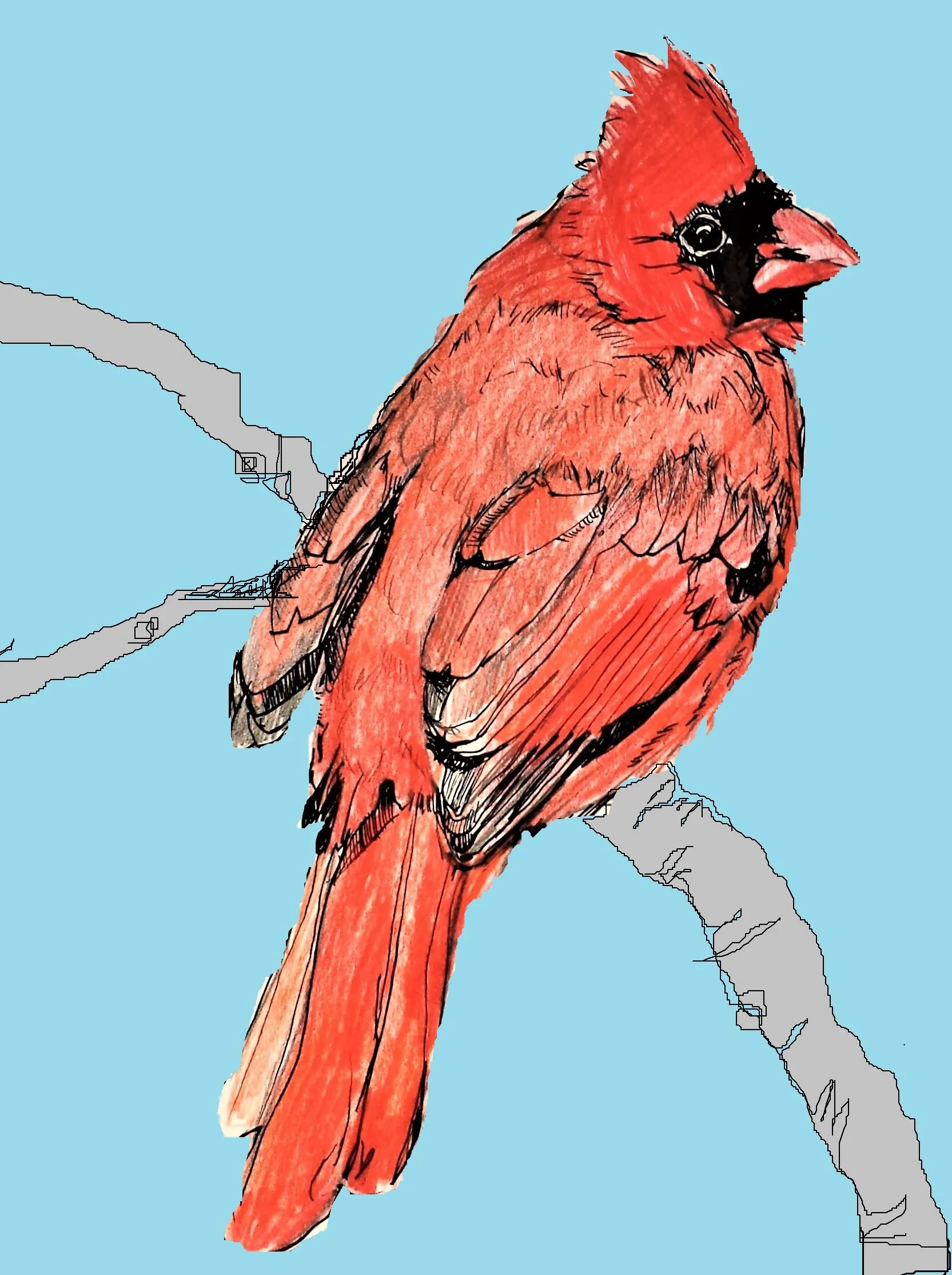 “Cardinal”8”x 11”, mixed media, 2016.