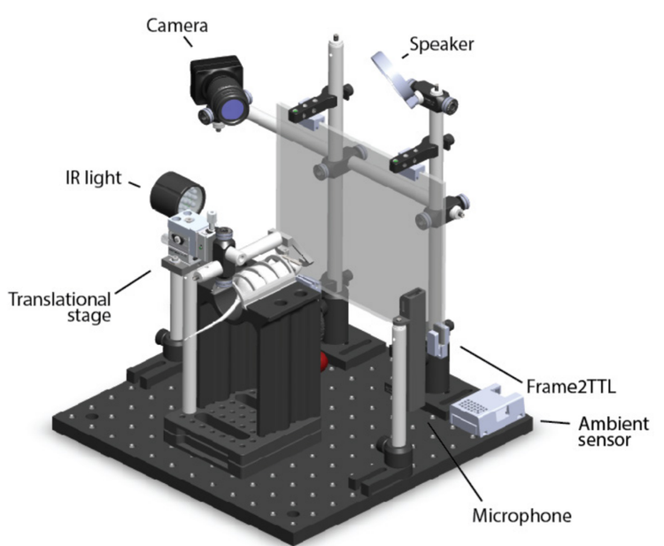 Machine Learning Rigs Tools — International Brain Laboratory
