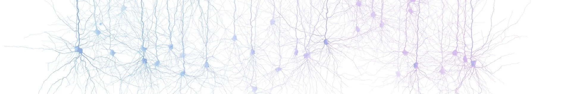 BANNER-BW-model_network_brainbow_FLAT.jpg
