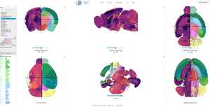 Tools — International Brain Laboratory