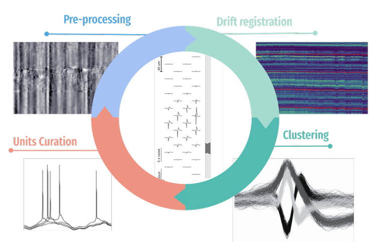 Tools — International Brain Laboratory