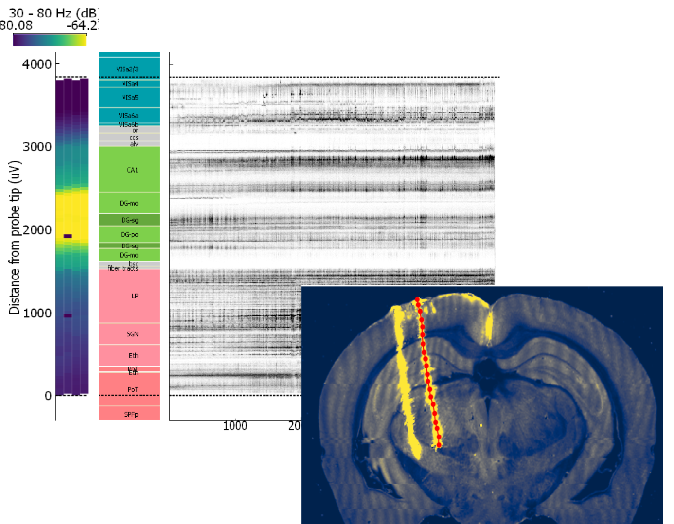 Tools — International Brain Laboratory