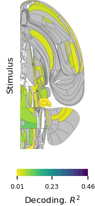 The Brain-Wide Map — International Brain Laboratory