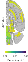 The Brain-Wide Map — International Brain Laboratory