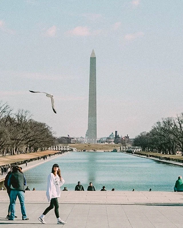 The #governmentshutdown is still going and the #baldeagles 🦅 have been replaced by #seagulls .... #merica