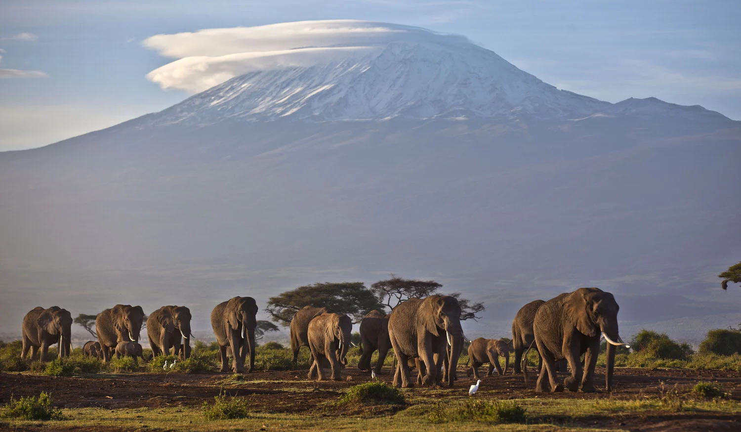 APTOPIX Kenya