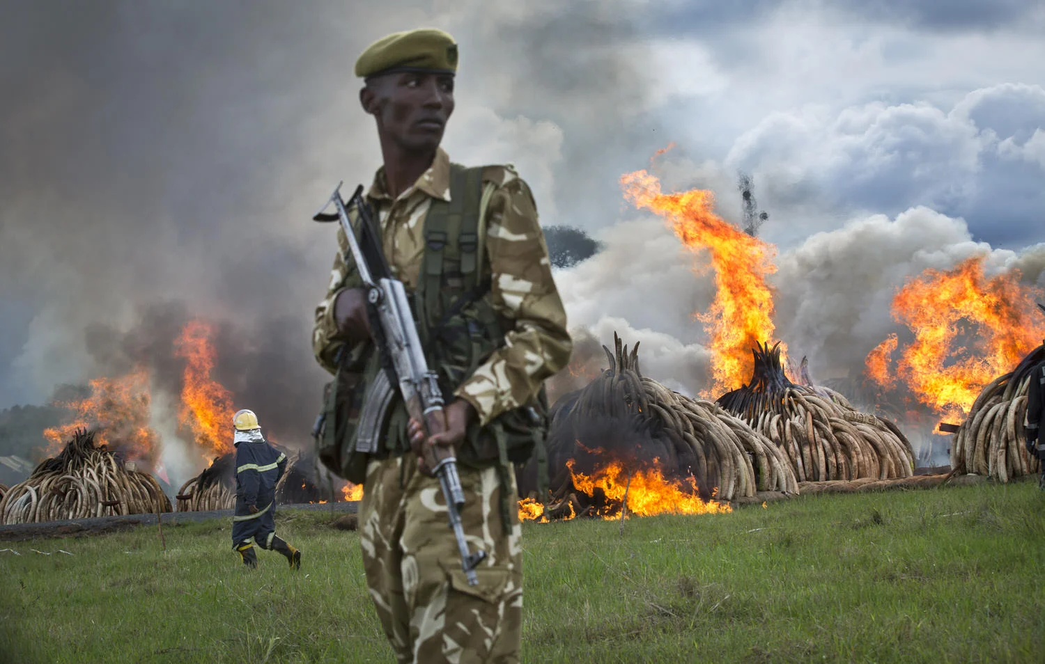 APTOPIX Kenya Ivory Burning