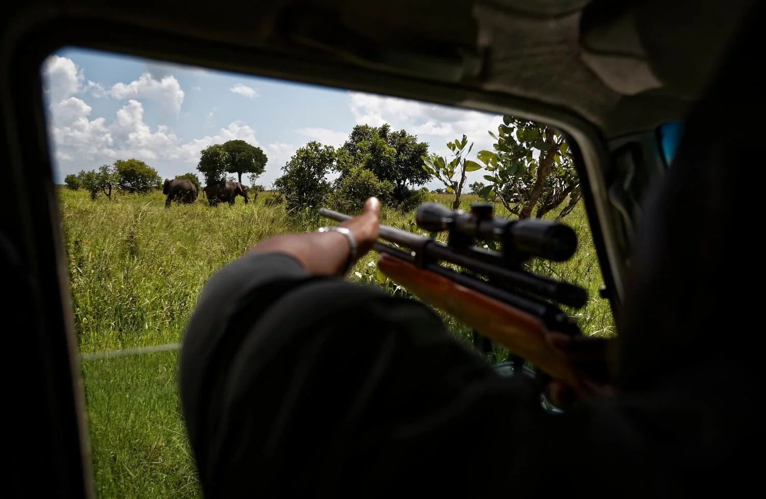 Tanzania Africa Saving Elephants