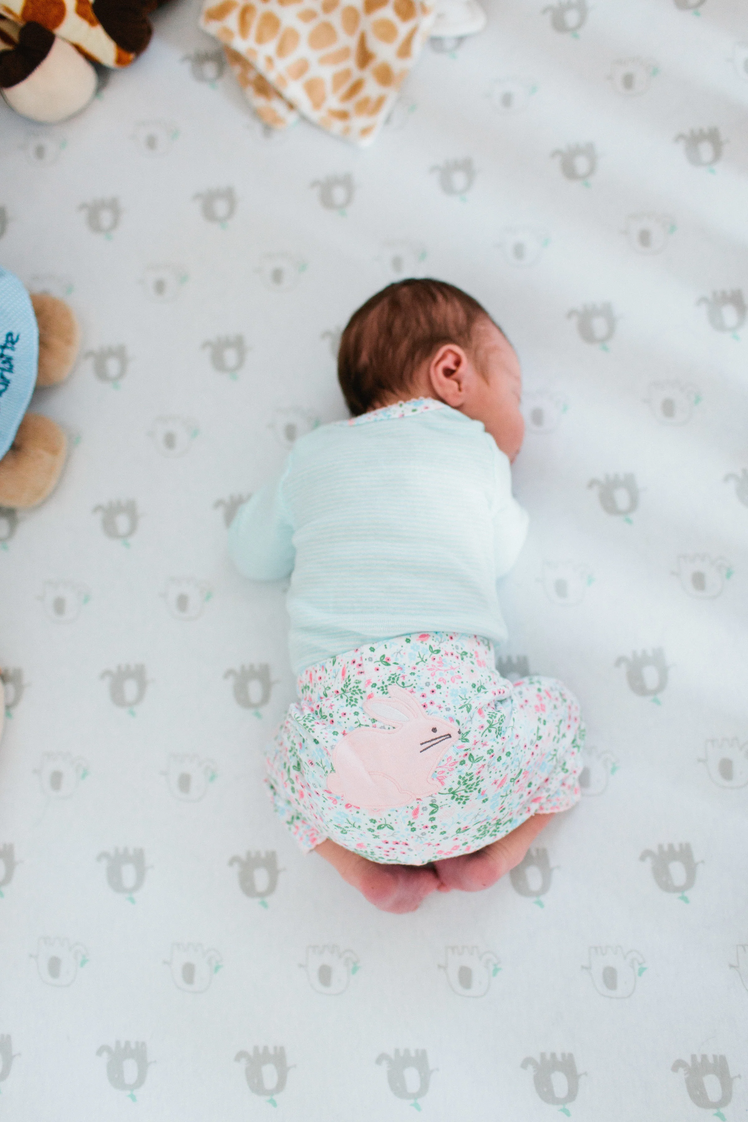 Wainger_Newborn_2018-4.jpg