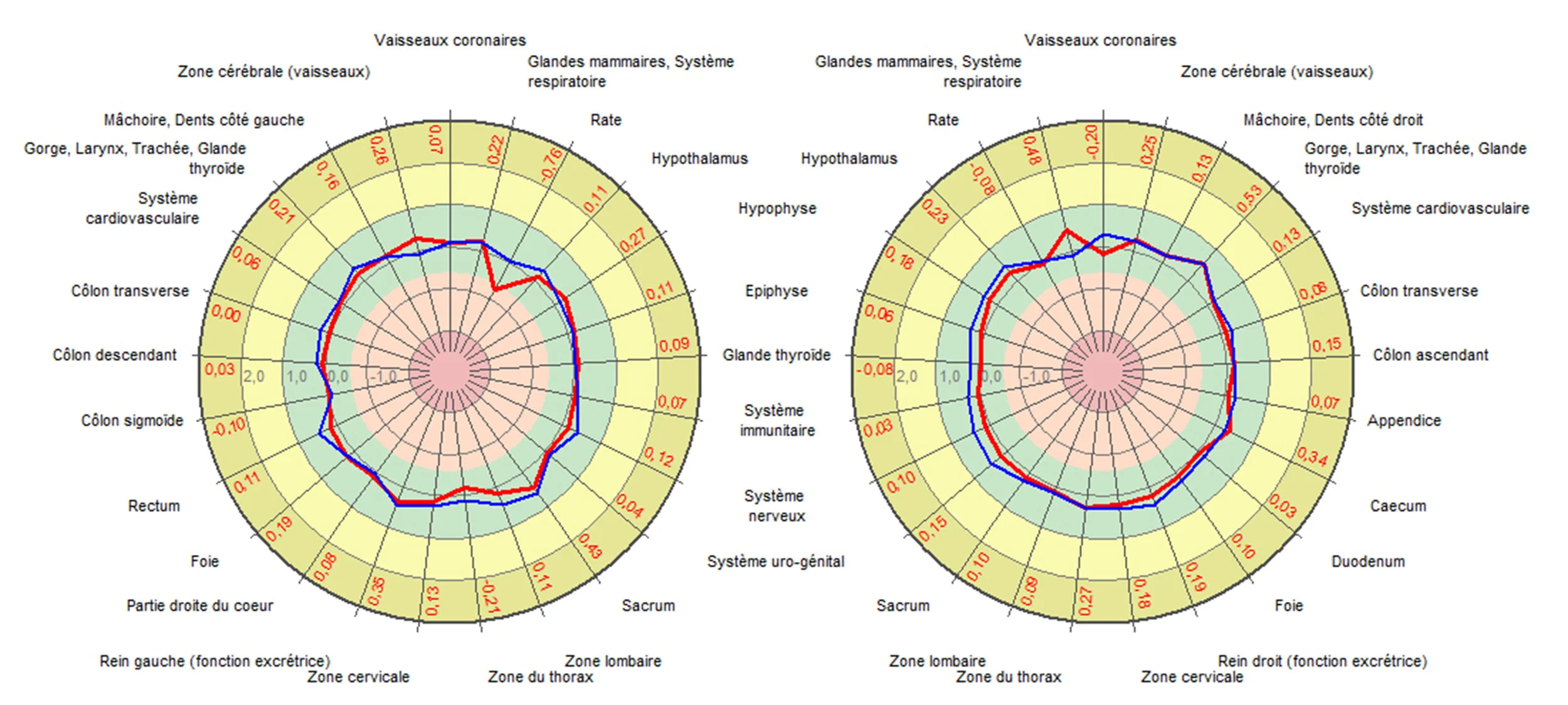 Figure 2 – Les diagrammes L’énergie de chaque organe y est représentée.