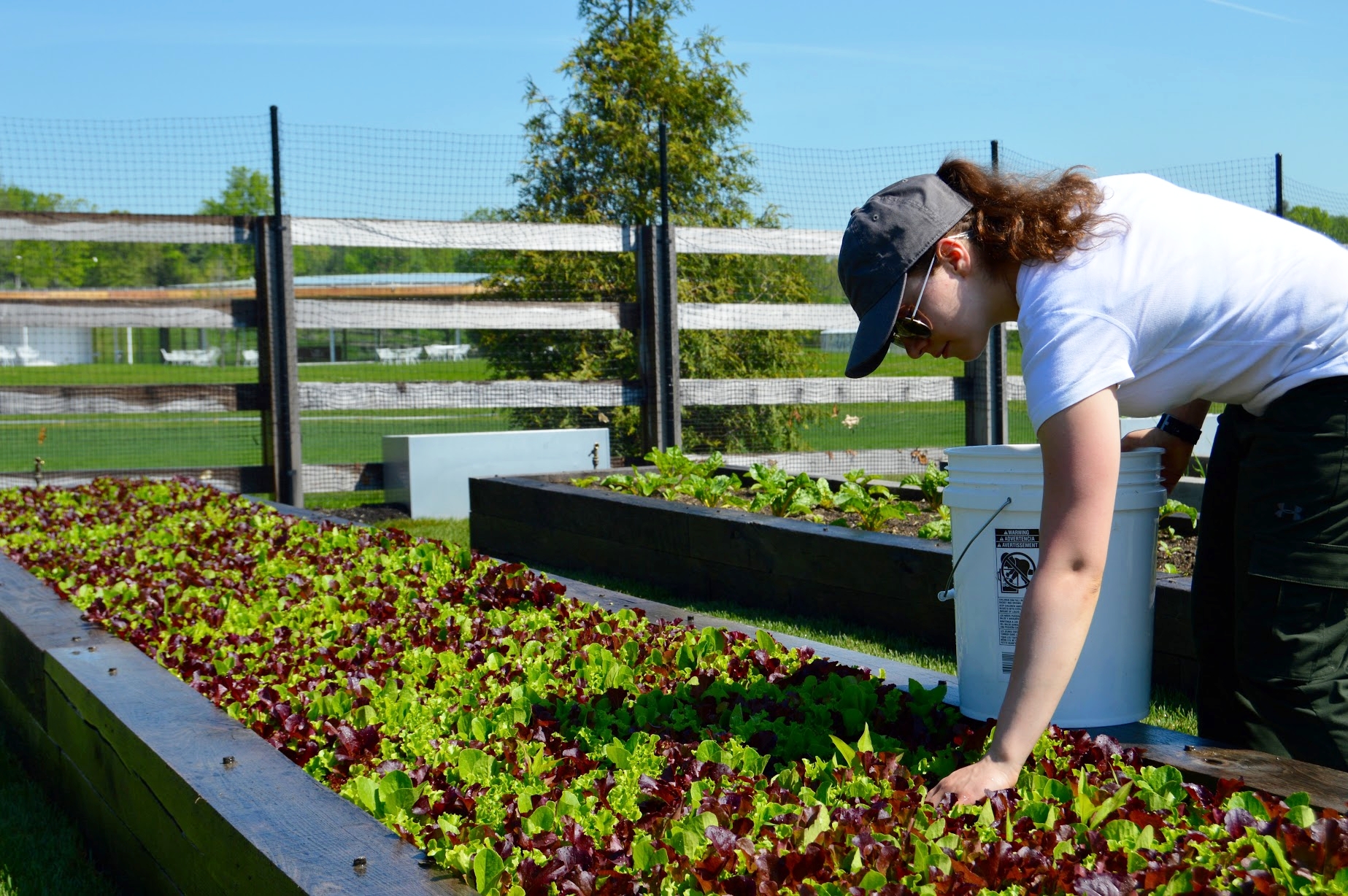 Mackie O'Malley at Grace Farms Foundation .