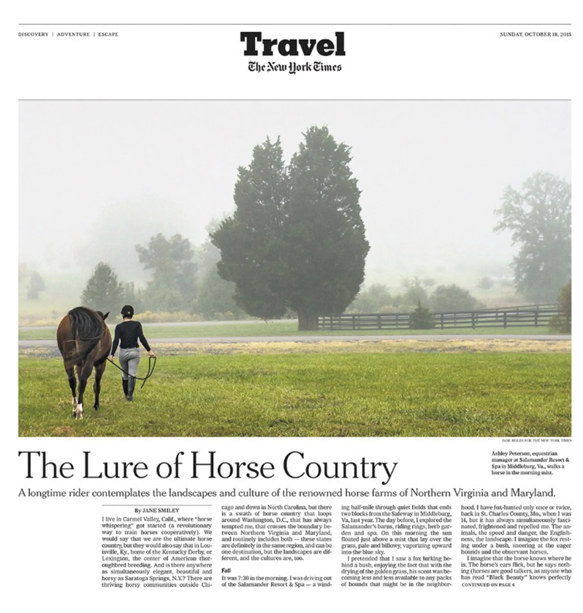 NYT Horse country IMG_4060 copy.jpg