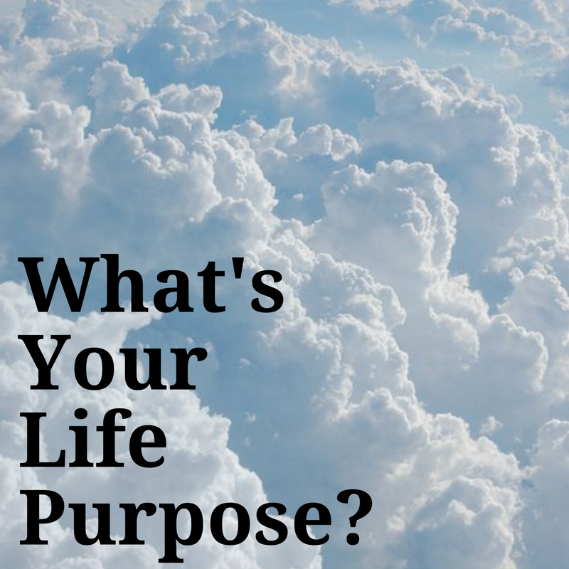 What's your Life Purpose?