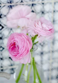 DSC_0760_webcopy.jpeg