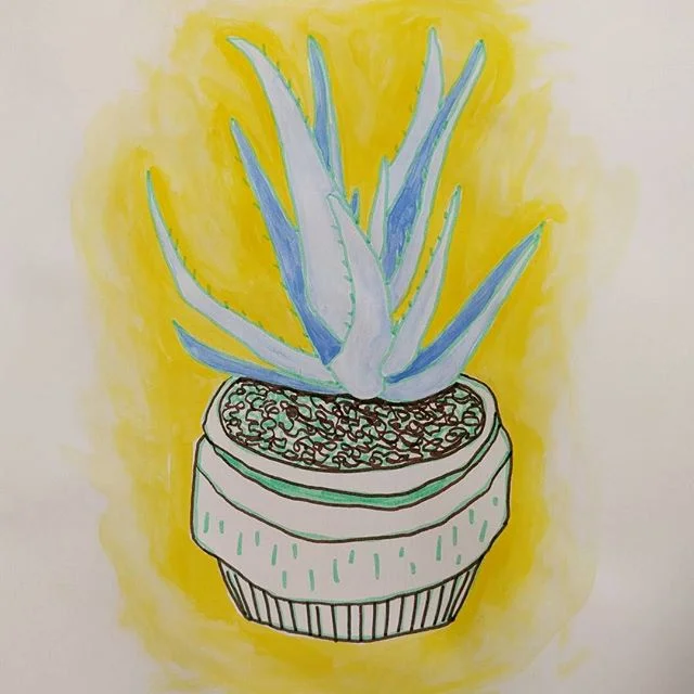 Mr. Aloe always has a way of brightening the day!😎