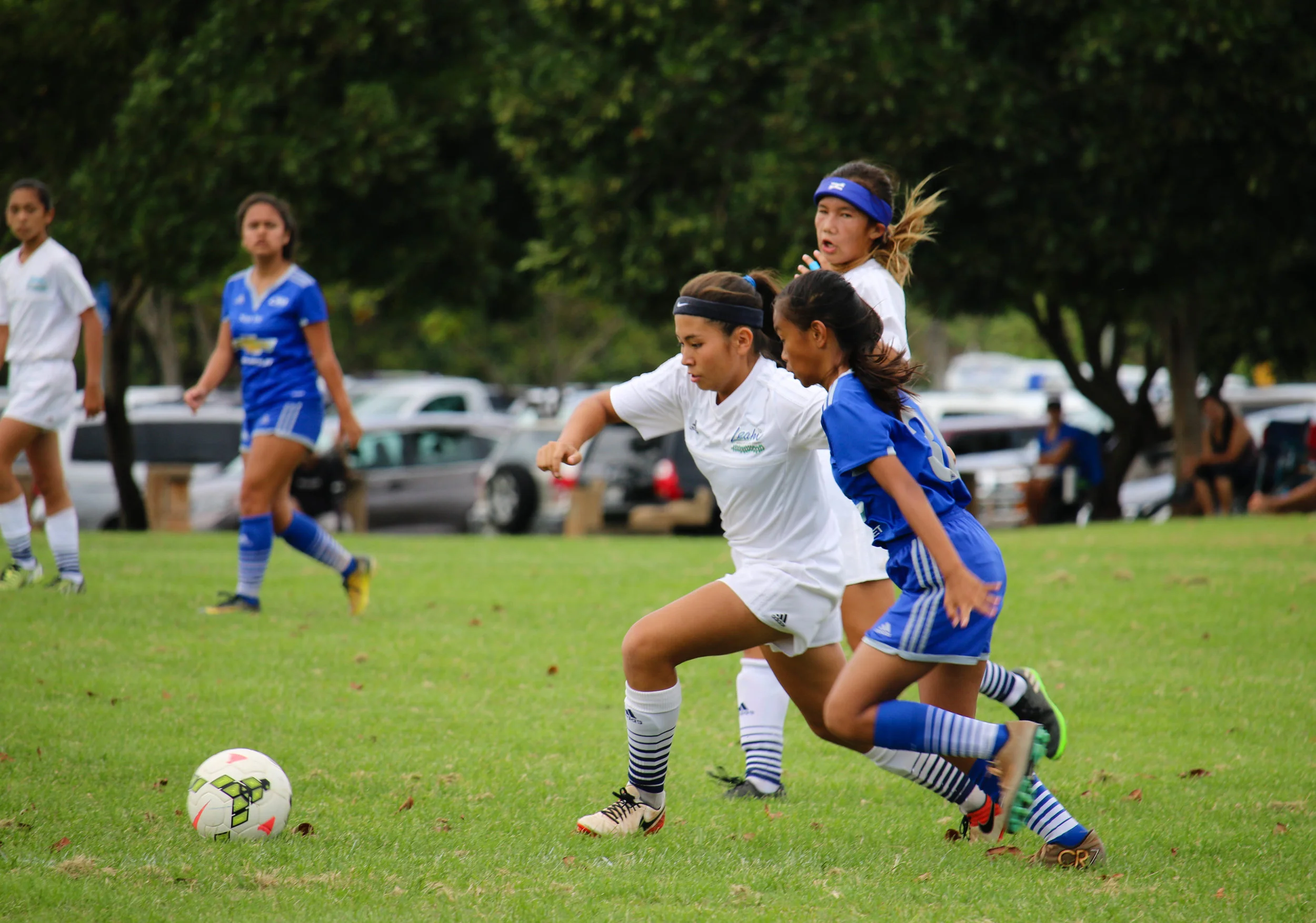 USCS_HSC17-7.jpg